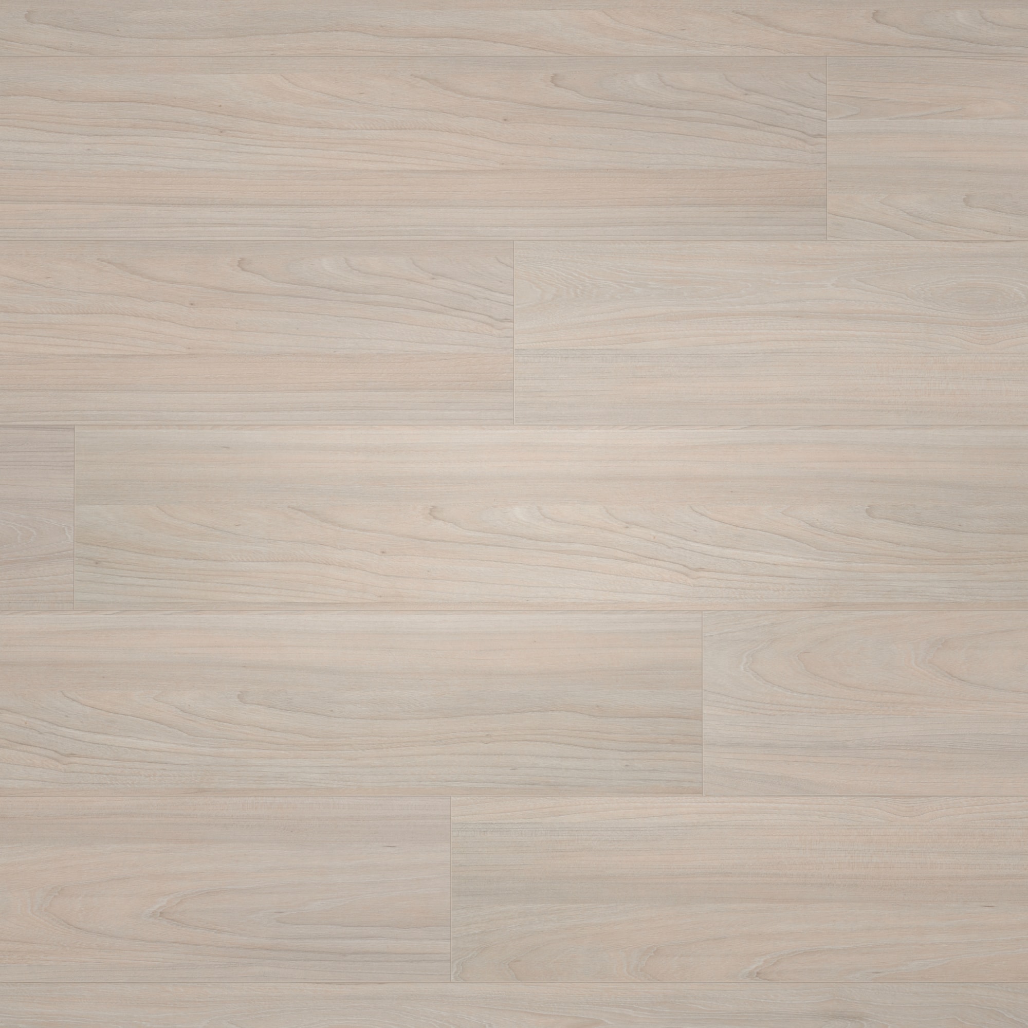 BerryAlloc Laminat Ocean 8 V4 Elm Light Wood Structure BerryAlloc Laminat Ocean 8 V4 Elm Light Wood Structure