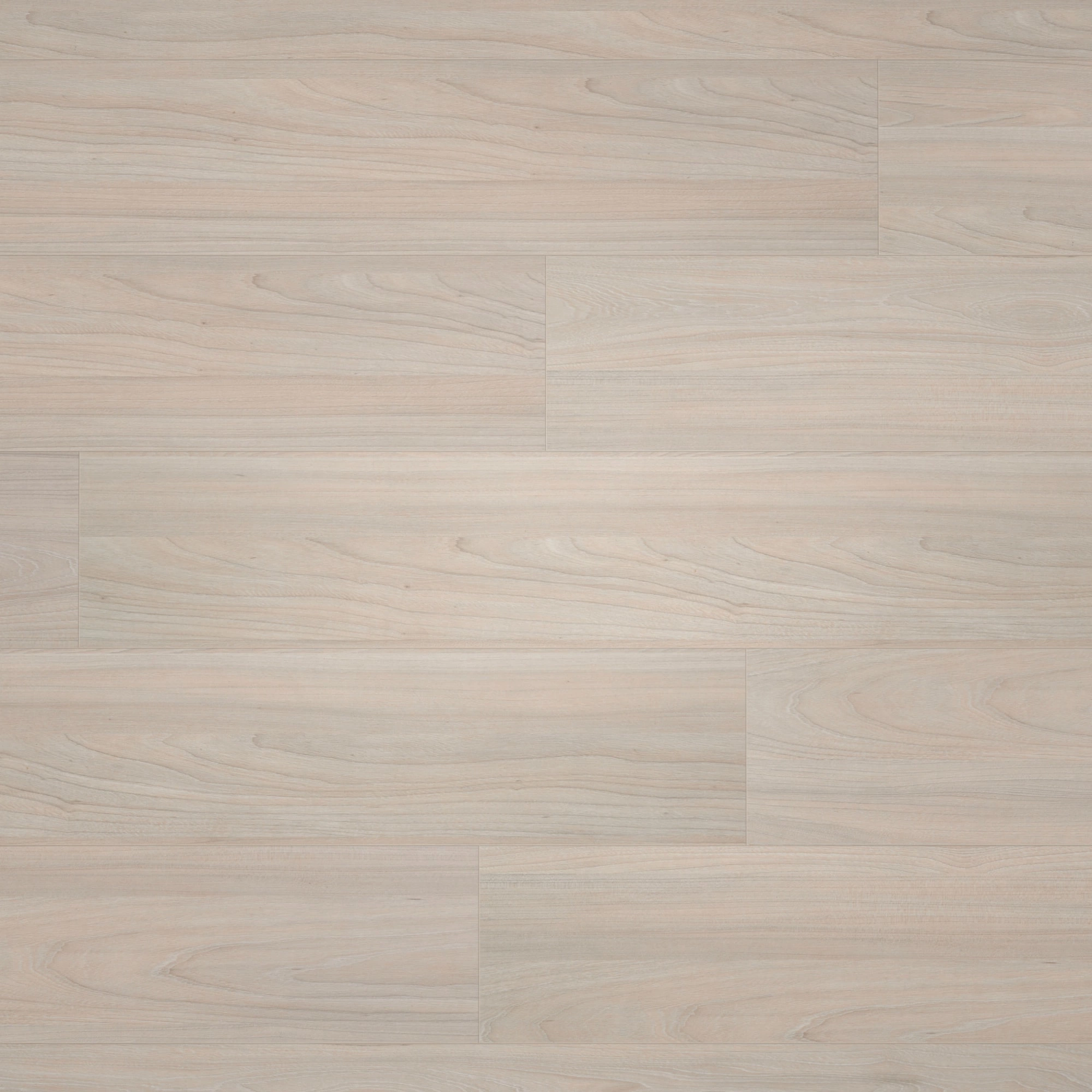 BerryAlloc Laminat Ocean 8 V4 Elm Light Wood Structure BerryAlloc Laminat Ocean 8 V4 Elm Light Wood Structure