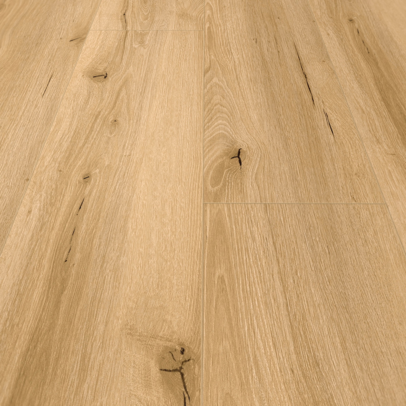 Detail Ansicht - MEISTER 400048-1226186-20192