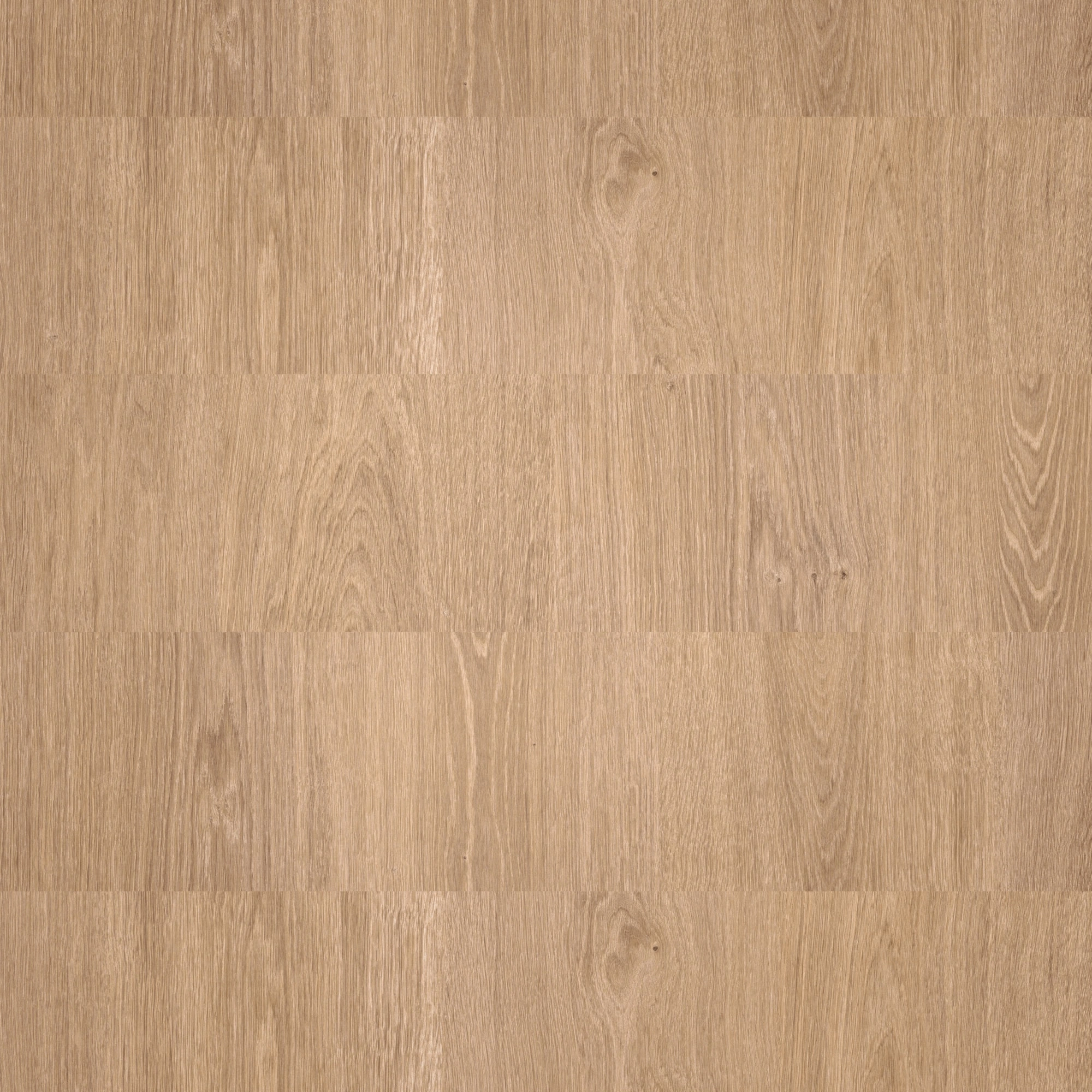 Draufsicht - MEISTER Laminat LC 55 Crosswood Draufsicht - MEISTER 600012-1288198-07135