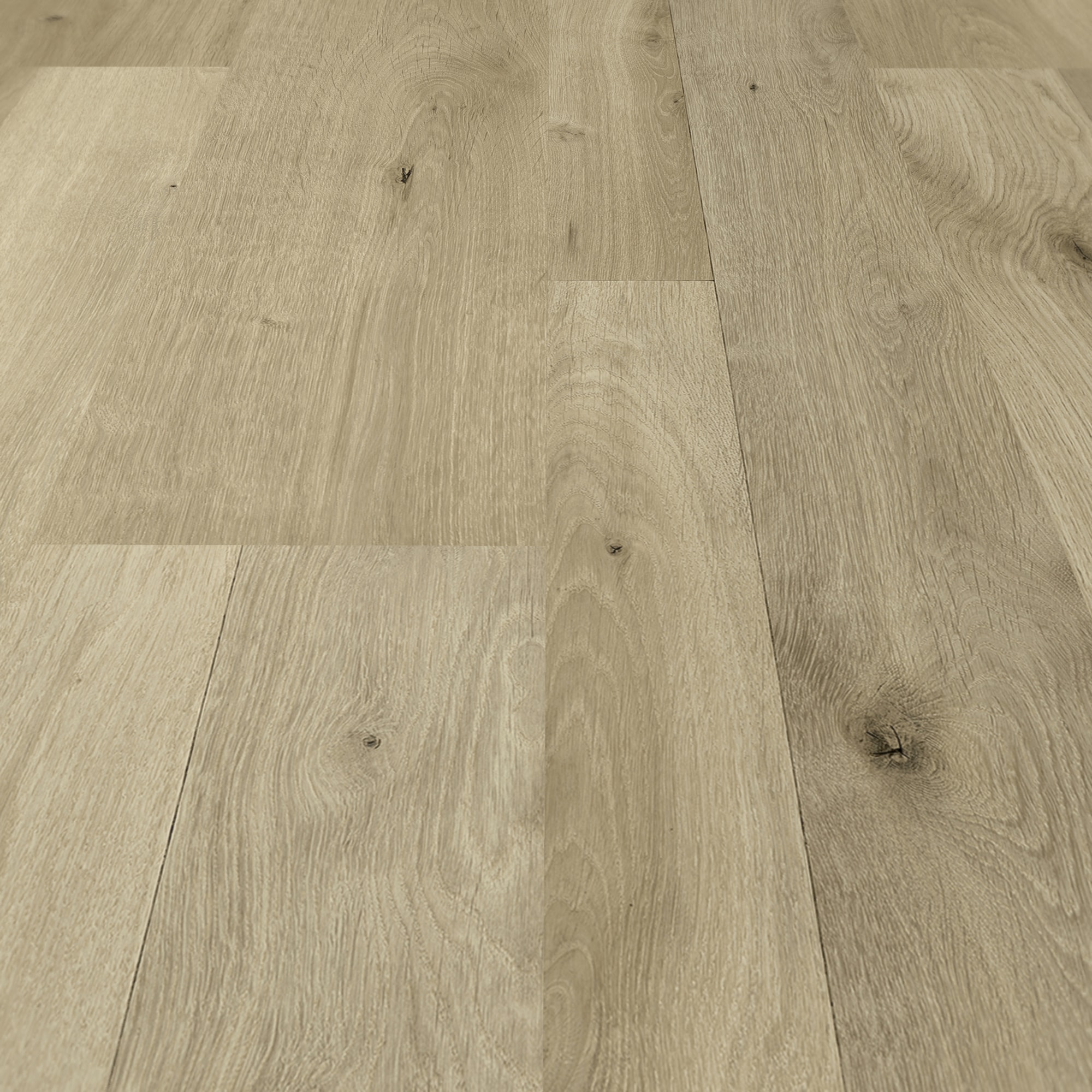 Detail Ansicht - MEISTER 600012-1288198-06675
