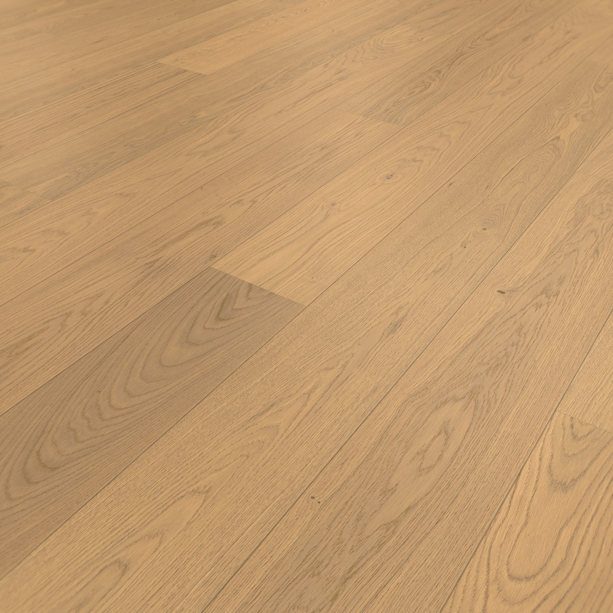 Perspektivische Ansicht - MEISTER Holzboden HD 400 Lindura Eiche natur creme Perspektivische Ansicht - MEISTER 500214-2200205-08966