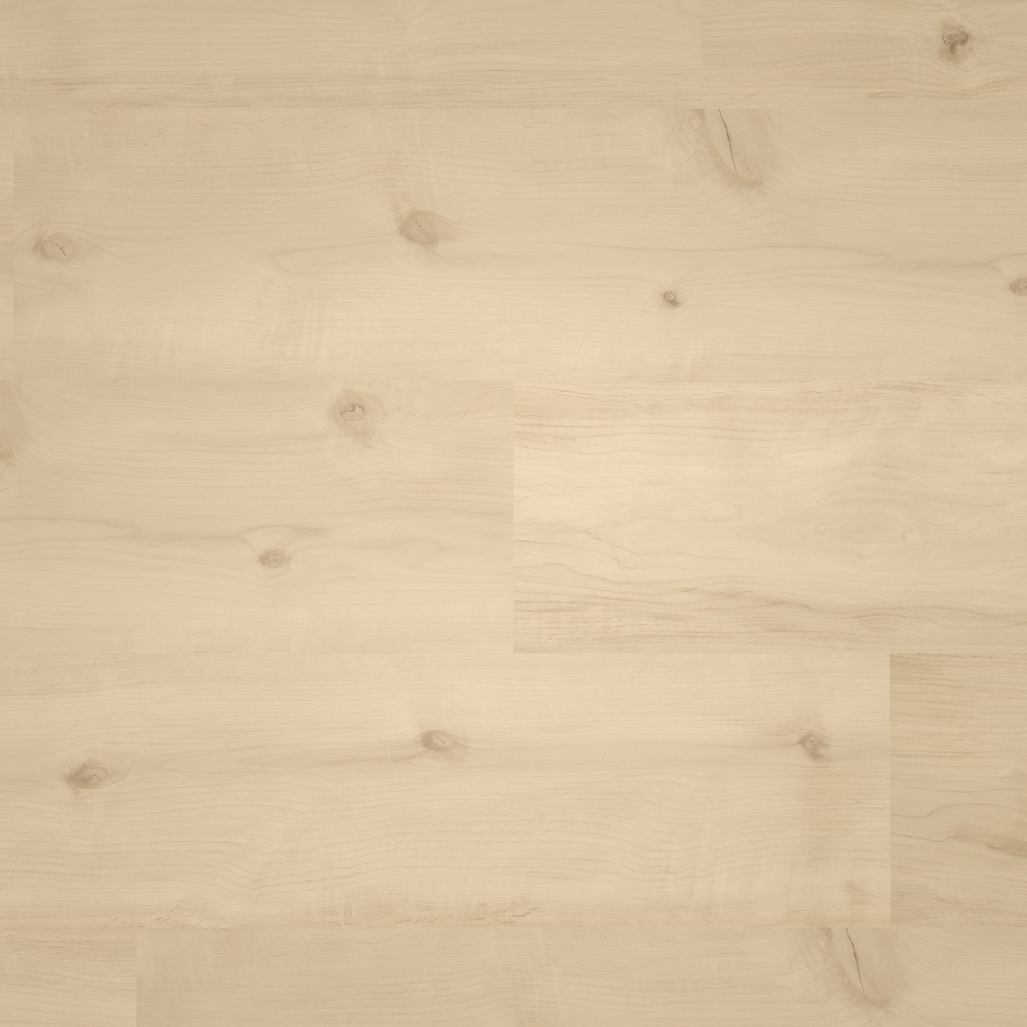 Draufsicht - ter Hürne Laminat Trend Edition Erle Feng Shui Draufsicht - ter Hürne 1101021827