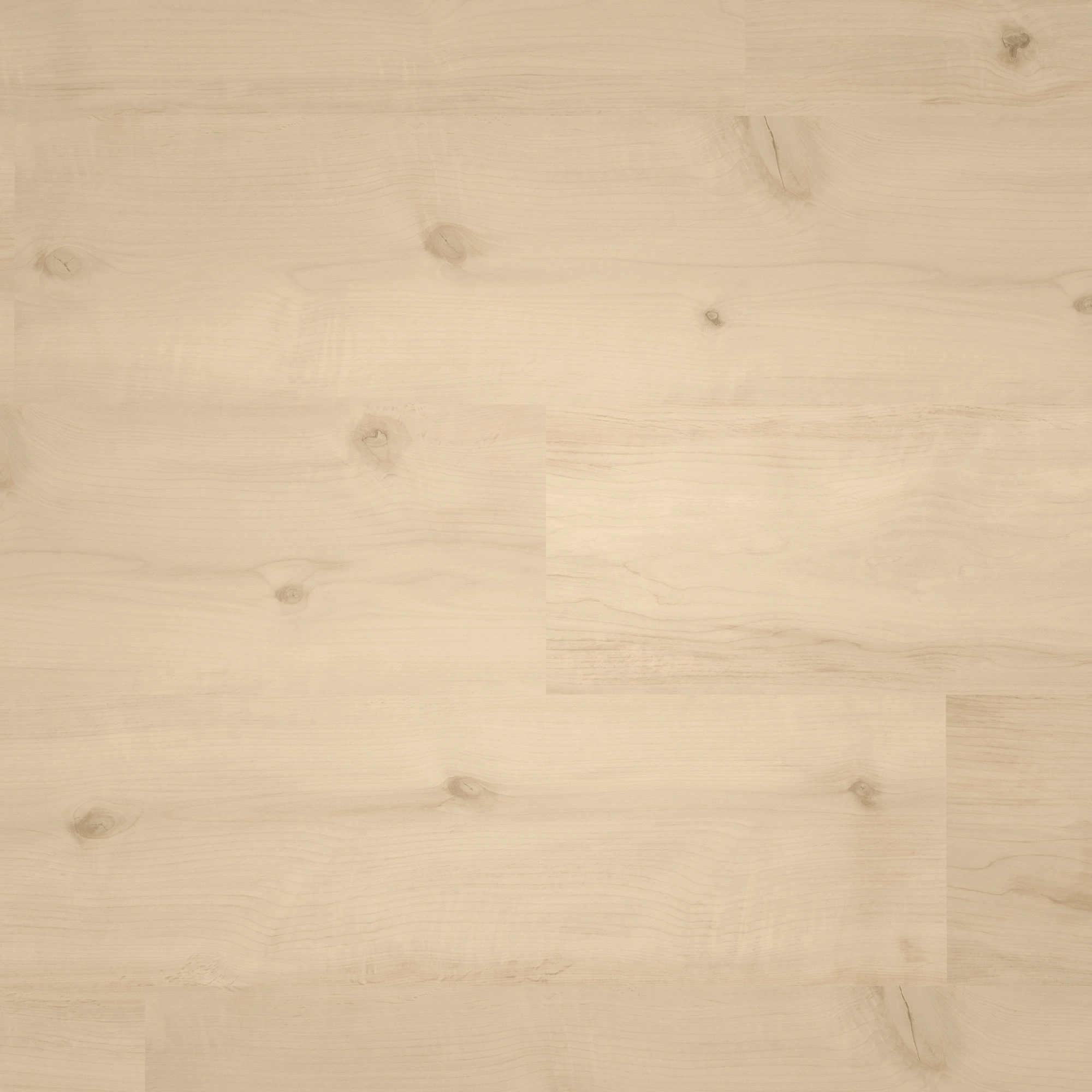 Draufsicht - ter Hürne Laminat Trend Edition Erle Feng Shui Draufsicht - ter Hürne 1101021827
