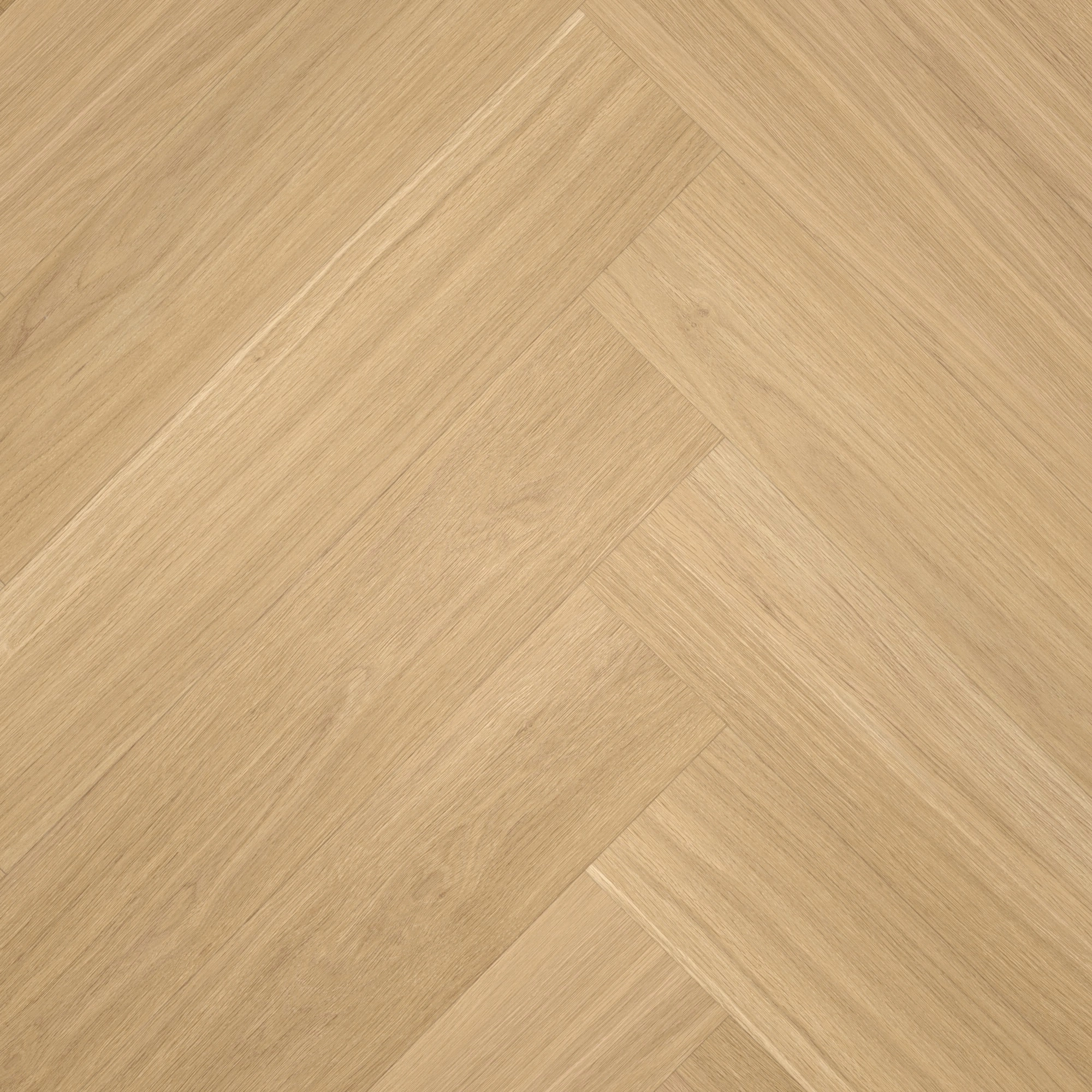 Draufsicht - Parador Rigid Klick-Vinyl Trendtime 3 Eiche Oxford natur Draufsicht - Parador 1748857