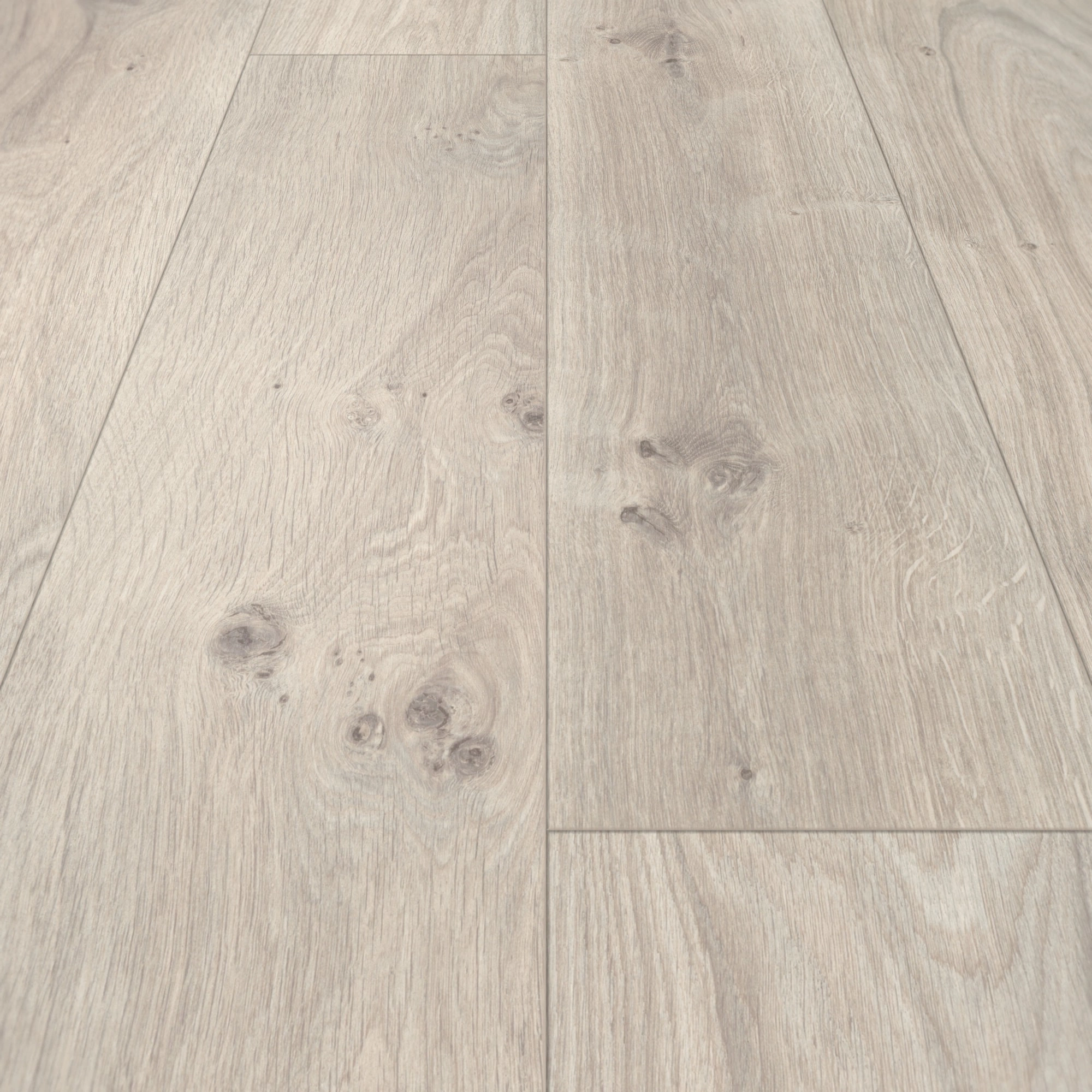 Detail Ansicht - Parador Laminat Basic 400 Eiche Natur Grau Detail Ansicht - Parador 1593798