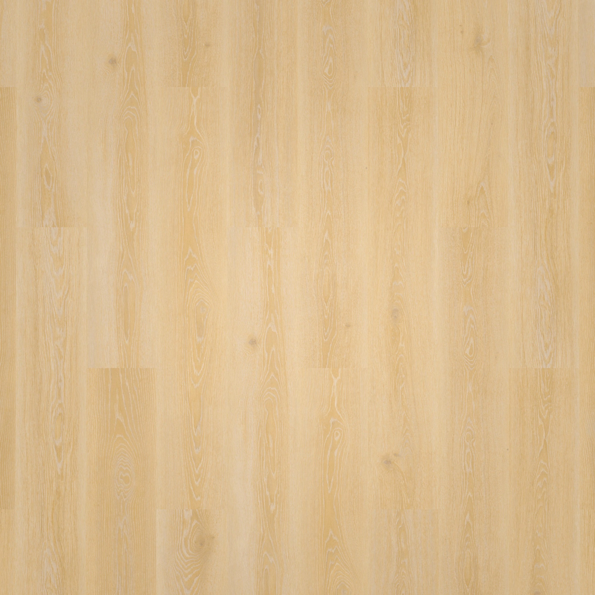 Draufsicht - Tarkett Klebe-Vinyl Essence 30 Tribe Oak Light Natural Draufsicht - Tarkett 260055007
