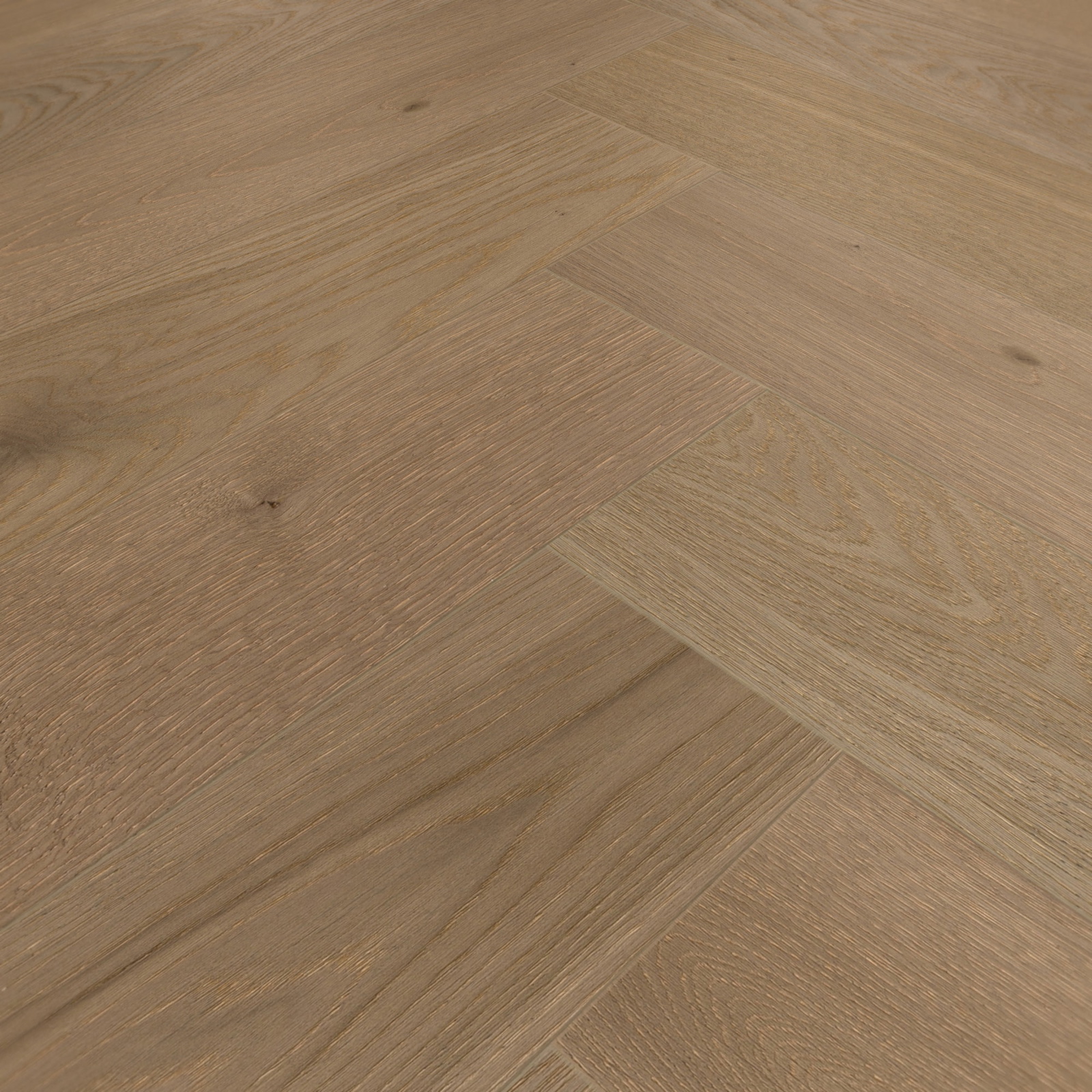 Detail Ansicht - MEISTER 500010-0700140-08931