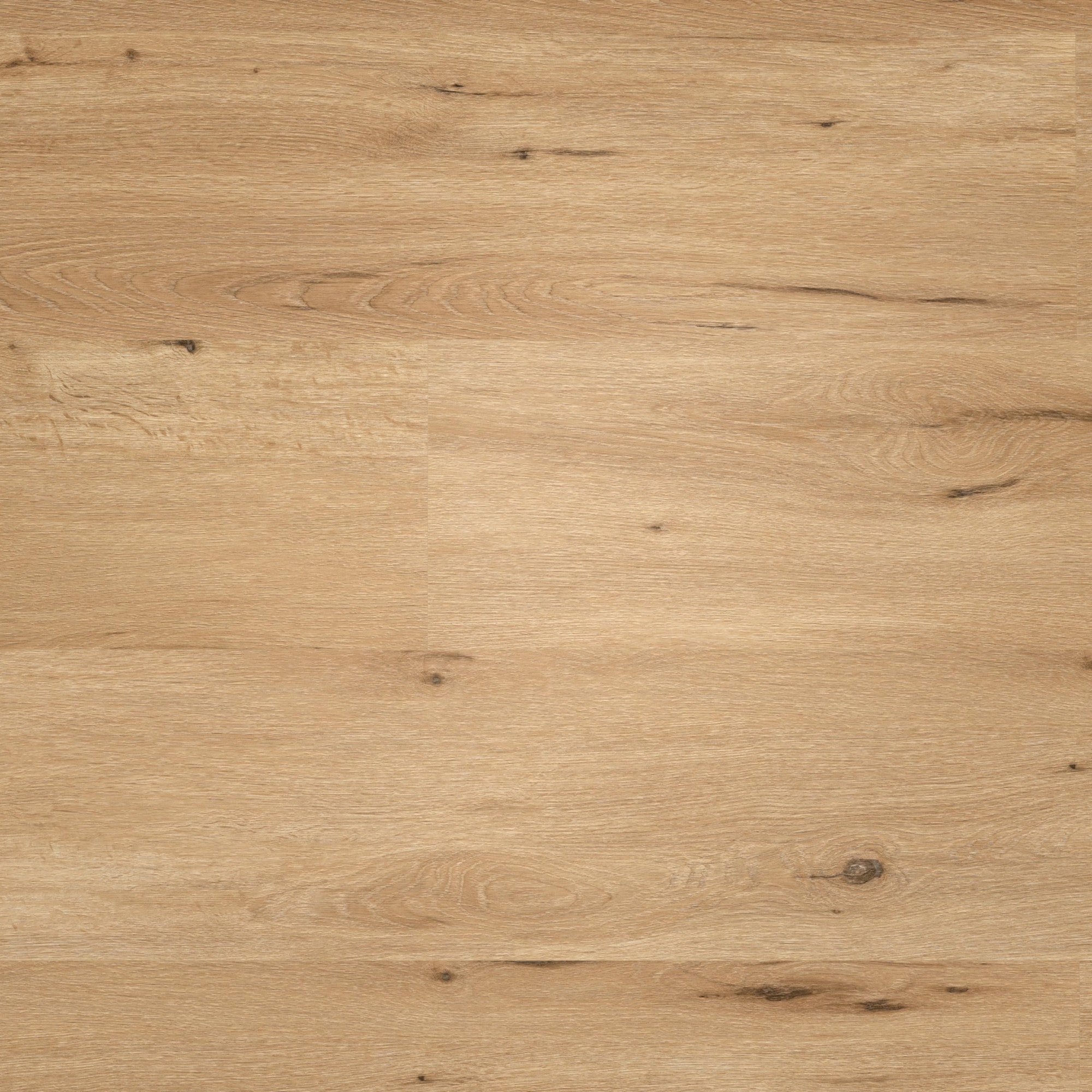 Draufsicht - wineo Klebe-Vinyl wineo 400 wood XL Country Oak Nature Draufsicht - wineo DB294WXL