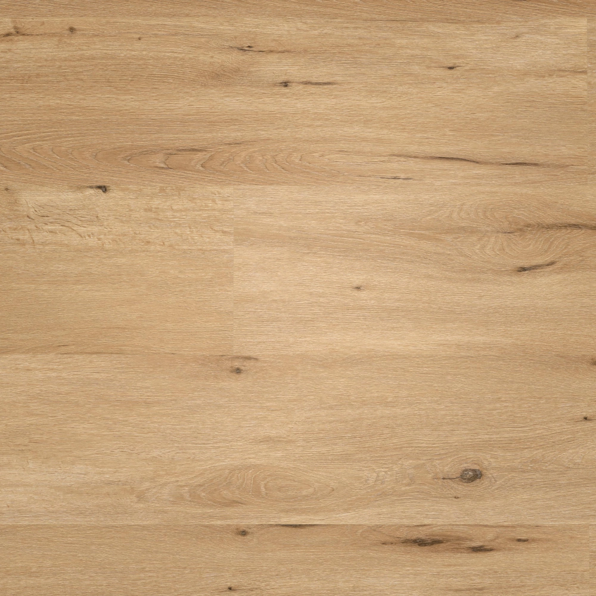 Draufsicht - wineo Klebe-Vinyl wineo 400 wood XL Country Oak Nature Draufsicht - wineo DB294WXL