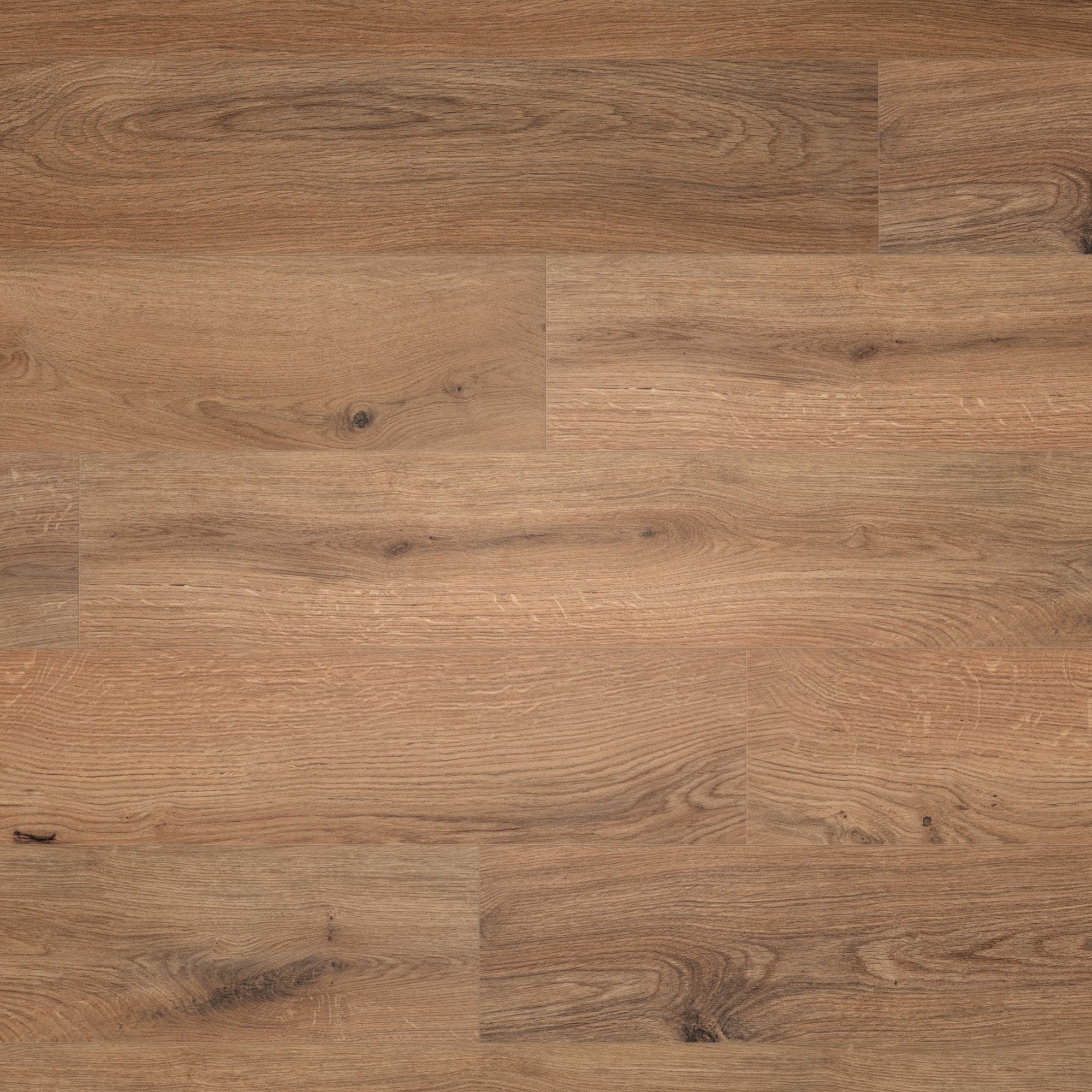 BerryAlloc Laminat Ocean 8 V4 Gyant Brown Natural Real Wood Structure BerryAlloc Laminat Ocean 8 V4 Gyant Brown Natural Real Wood Structure