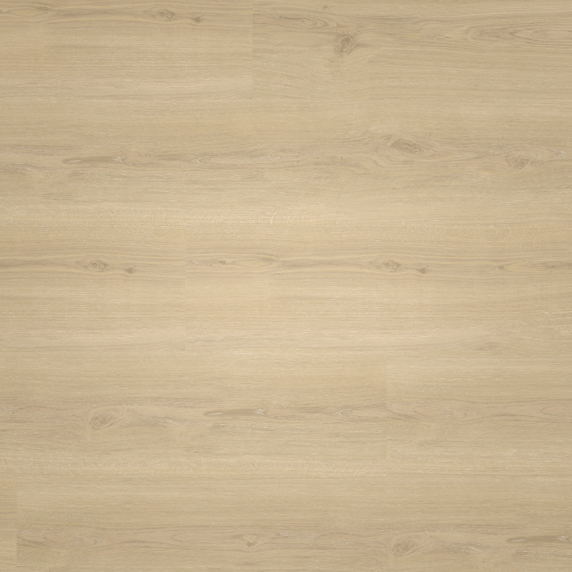 Draufsicht - Parador Klebe-Vinyl Basic 2.0 Eiche Regent beige Draufsicht - Parador 1748822