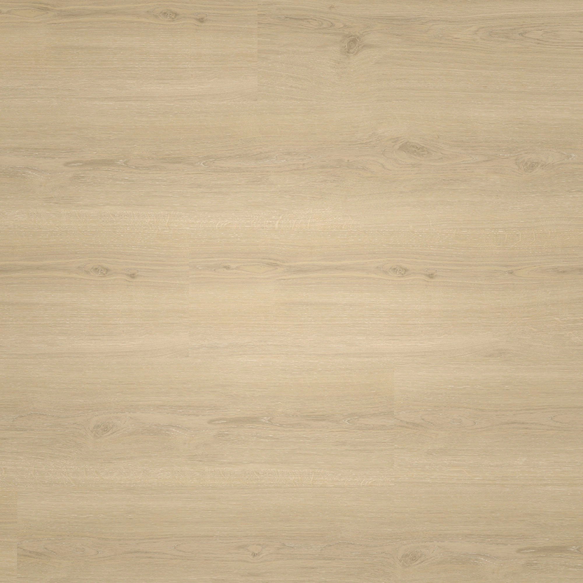Draufsicht - Parador Klebe-Vinyl Basic 2.0 Eiche Regent beige Draufsicht - Parador 1748822