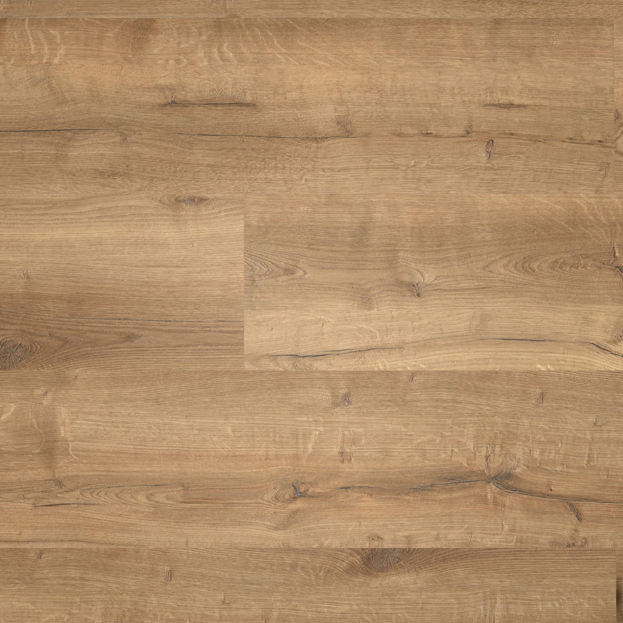 Draufsicht - wineo Klebe-Vinyl wineo 400 wood XL Comfort Oak Mellow Draufsicht - wineo DB129WXL