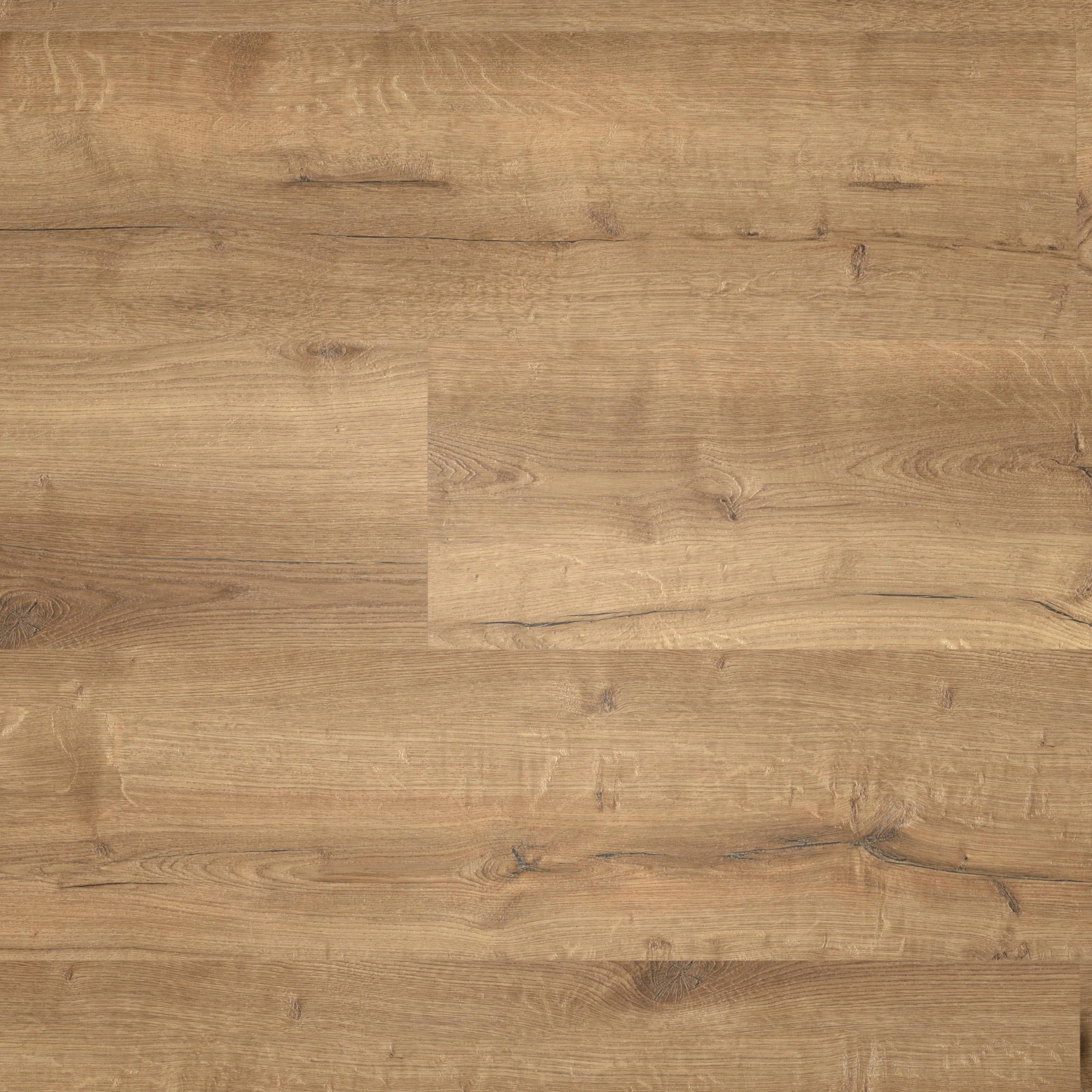 Draufsicht - wineo Klebe-Vinyl wineo 400 wood XL Comfort Oak Mellow Draufsicht - wineo DB129WXL