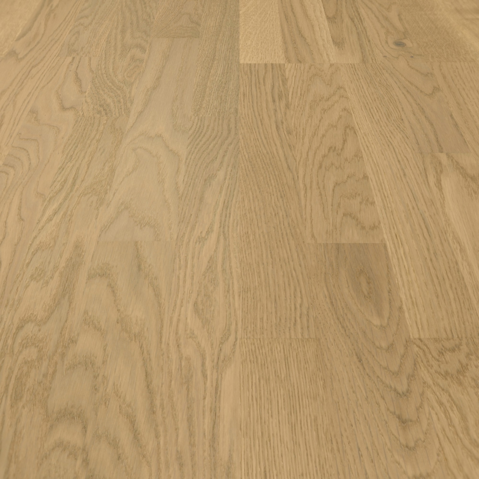 Parador Parkett Classic 3025 Eiche Malbec leicht geweißt Rustikal Holzstruktur Matt-Lackiert