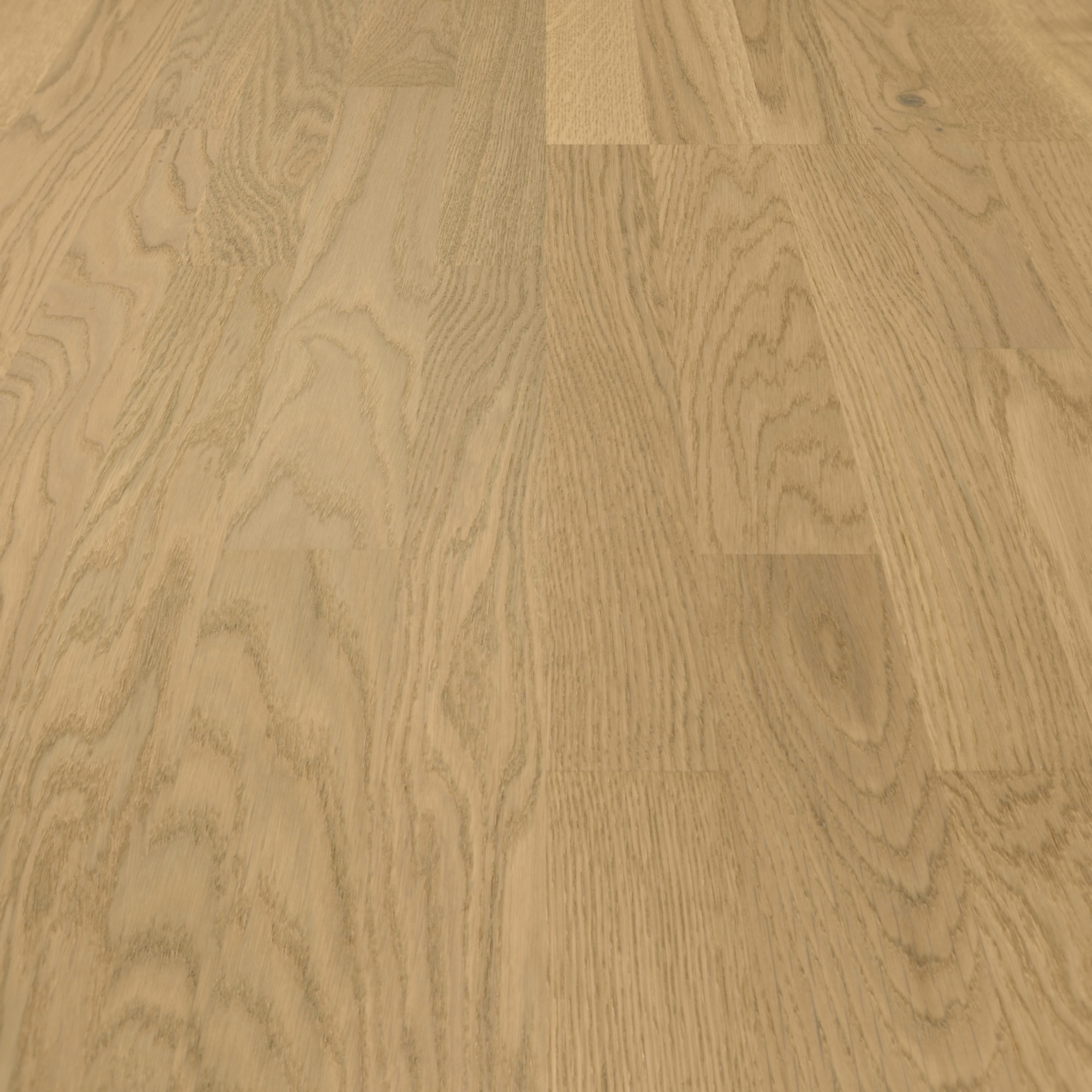 Parador Parkett Classic 3025 Eiche Malbec leicht geweißt Rustikal Holzstruktur Matt-Lackiert Parador Parkett Classic 3025 Eiche Malbec leicht geweißt Rustikal Holzstruktur Matt-Lackiert