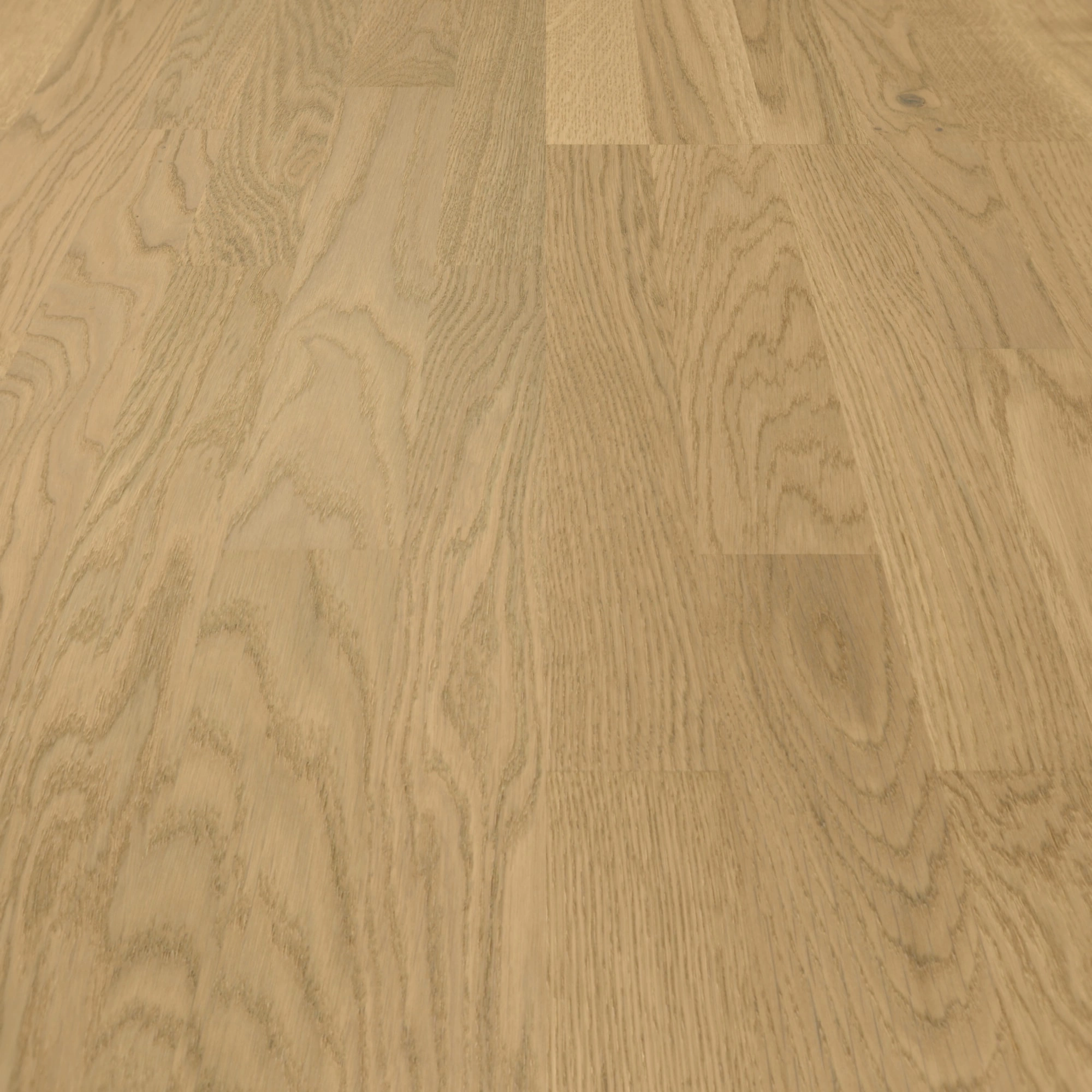 Parador Parkett Classic 3025 Eiche Malbec leicht geweißt Rustikal Holzstruktur Matt-Lackiert Parador Parkett Classic 3025 Eiche Malbec leicht geweißt Rustikal Holzstruktur Matt-Lackiert