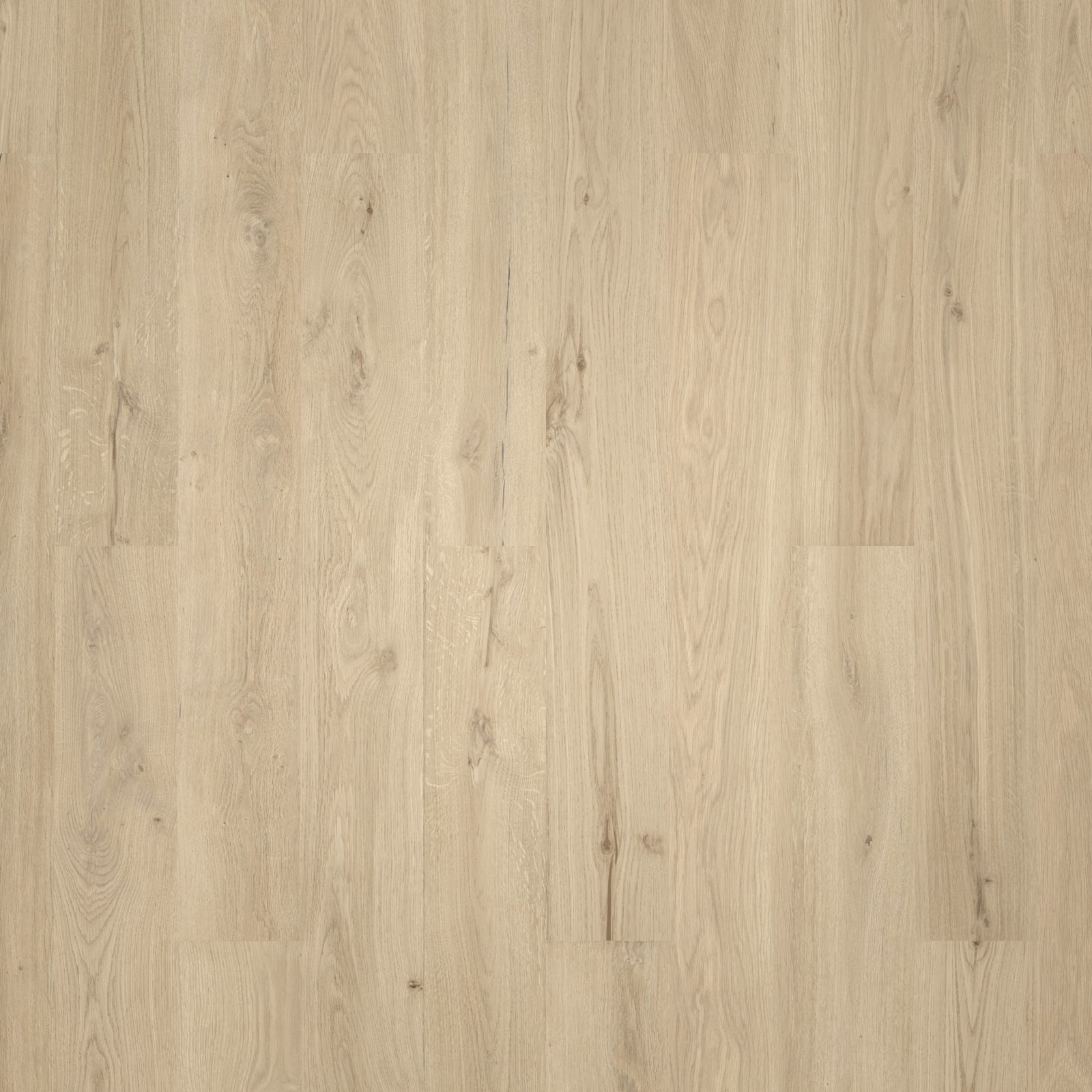 Wicanders HDF Klick-Designboden wood Natural XL Dakota Oak Sand ...