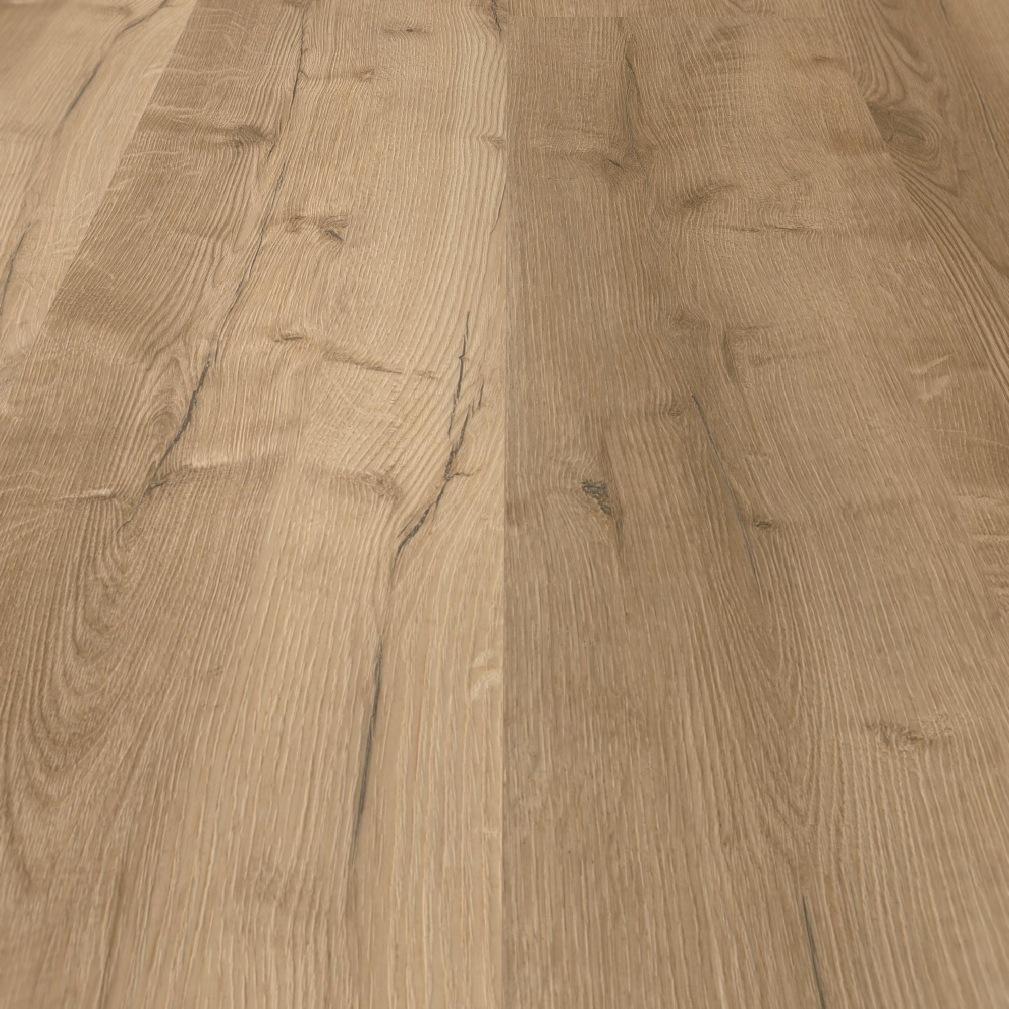 Detail Ansicht - wineo HDF Klick-Vinyl wineo 400 wood XL Comfort Oak Nature Detail Ansicht - wineo MLD291WXL