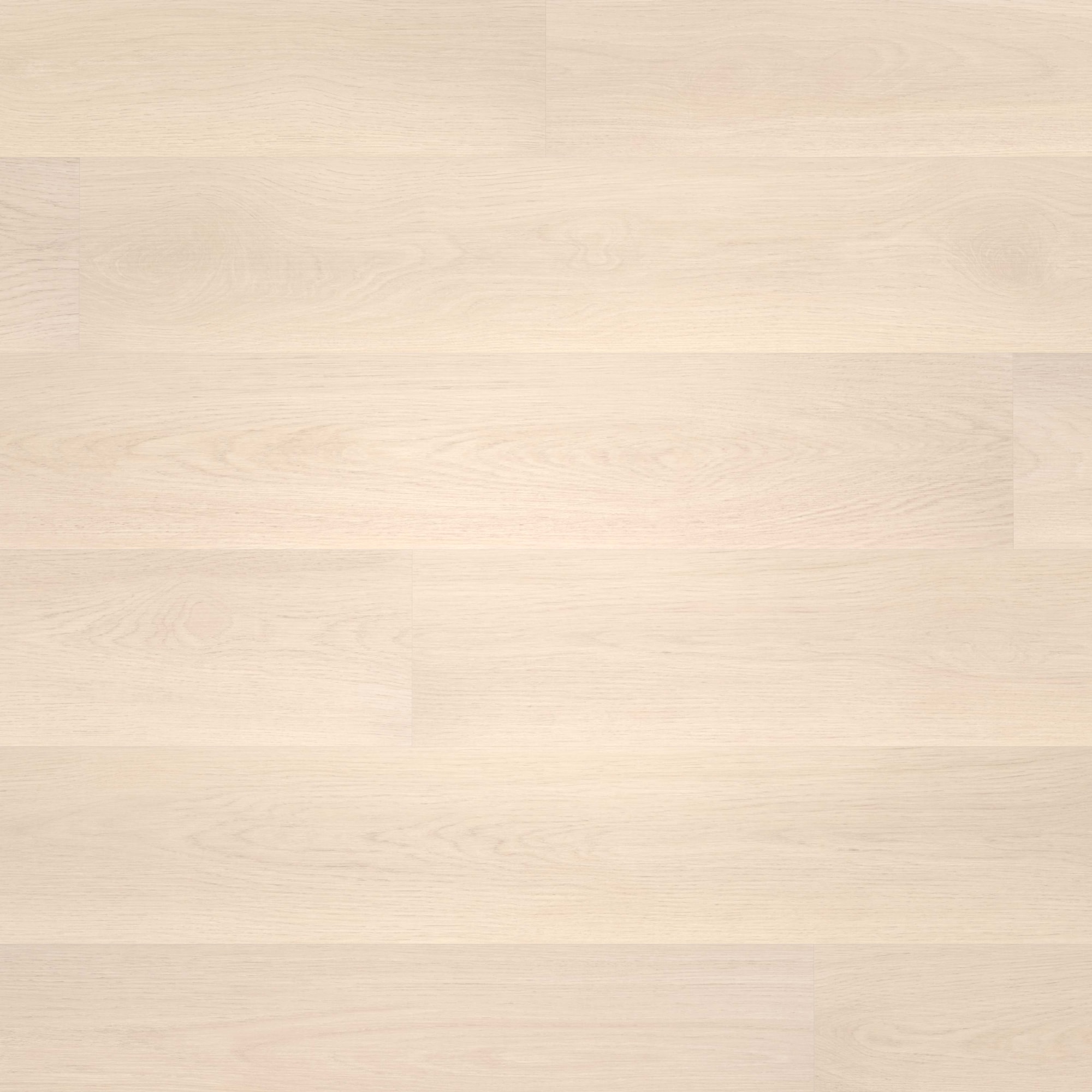 Draufsicht - wineo HDF Klick-Bioboden PURLINE wineo 1000 wood L Soft Oak Salt Draufsicht - wineo MLP295R
