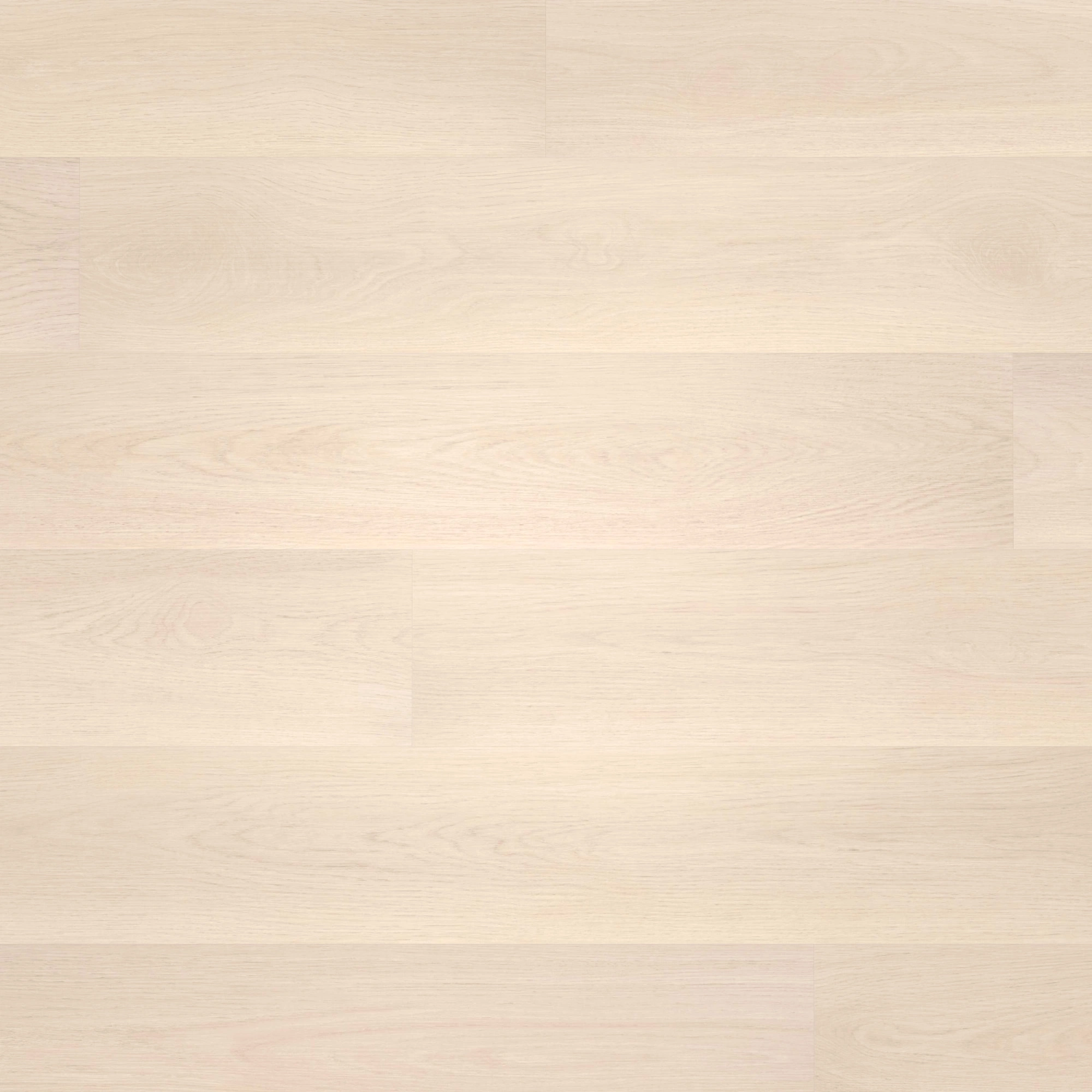 Draufsicht - wineo HDF Klick-Bioboden PURLINE wineo 1000 wood L Soft Oak Salt Draufsicht - wineo MLP295R