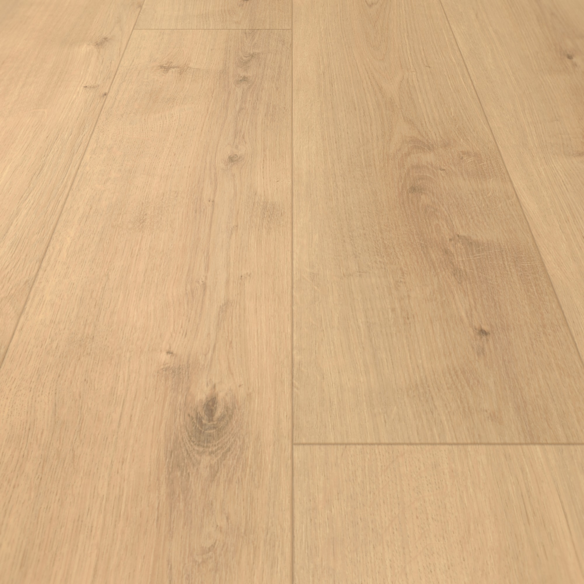 Parador HDF Klick-Designboden Modular ONE Eiche Pure natur Holzstruktur Landhausdiele Parador HDF Klick-Designboden Modular ONE Eiche Pure natur Holzstruktur Landhausdiele