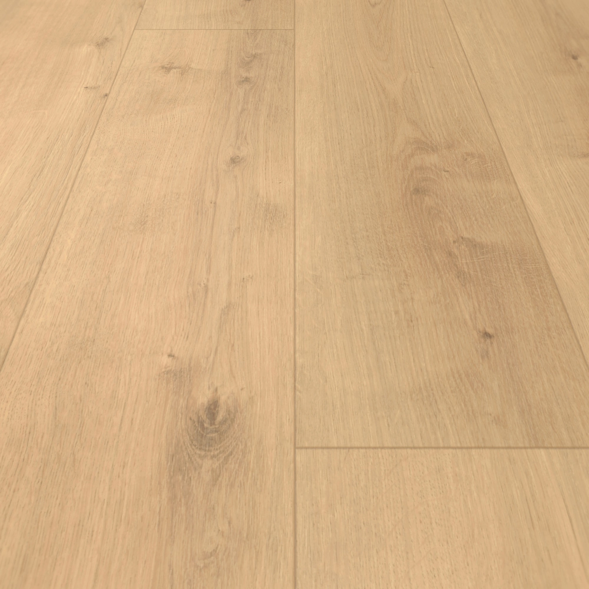 Detail Ansicht - Parador HDF Klick-Designboden Modular ONE Eiche Pure natur Detail Ansicht - Parador 1730766