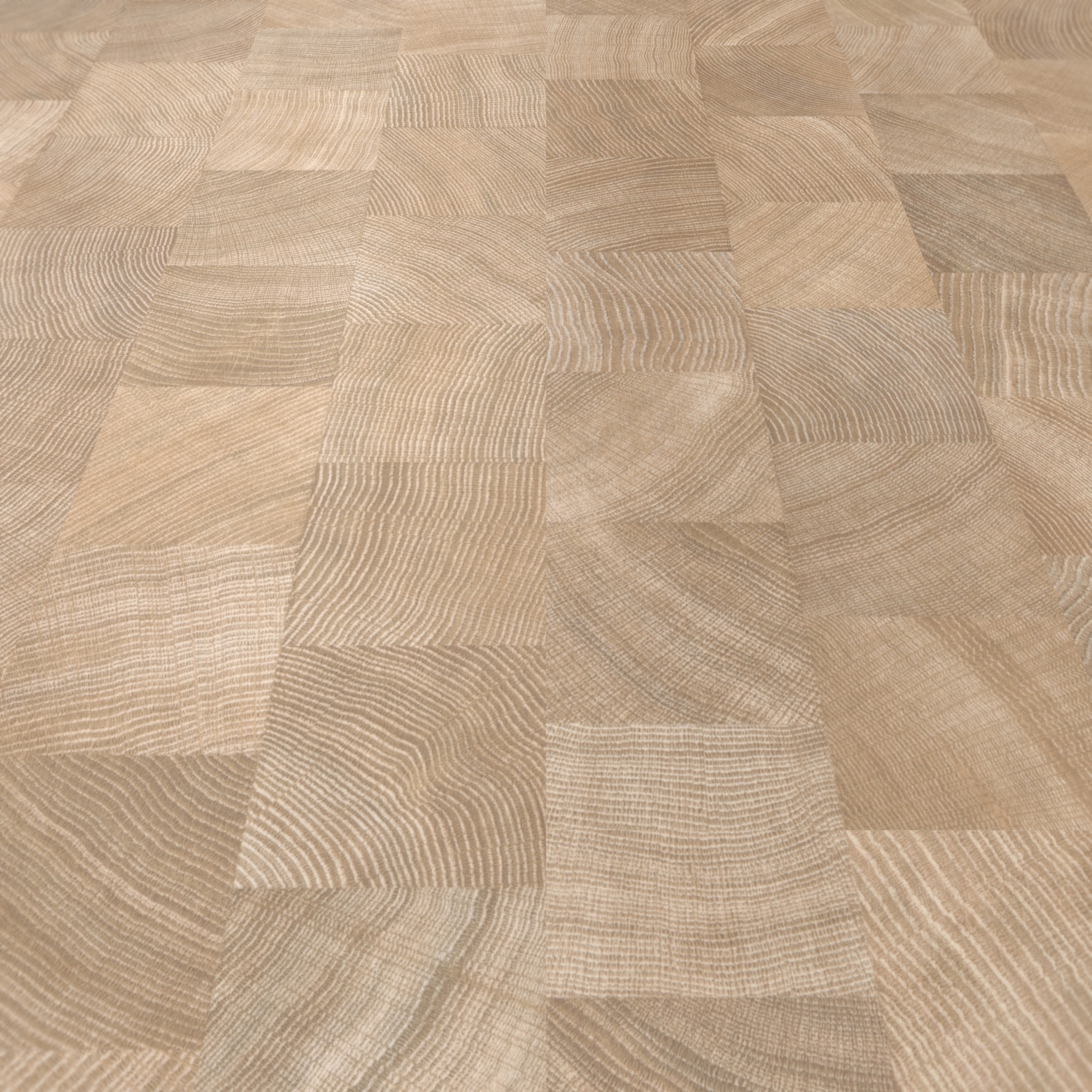 Parador Laminat Basic 400 Eiche Hirnholz gekälkt Seidenmatte Struktur 0V Parador Laminat Basic 400 Eiche Hirnholz gekälkt Seidenmatte Struktur 0V