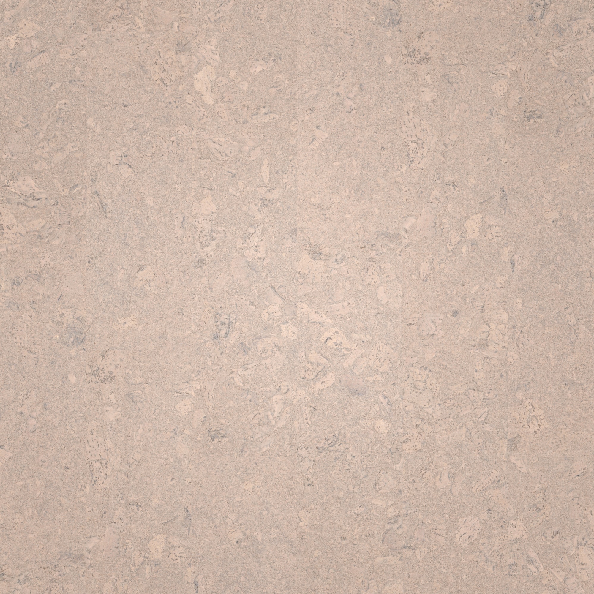Draufsicht - Wicanders Wise HDF Klick-Korkboden cork Essence Personality Timide Draufsicht - Wicanders Wise 80002262