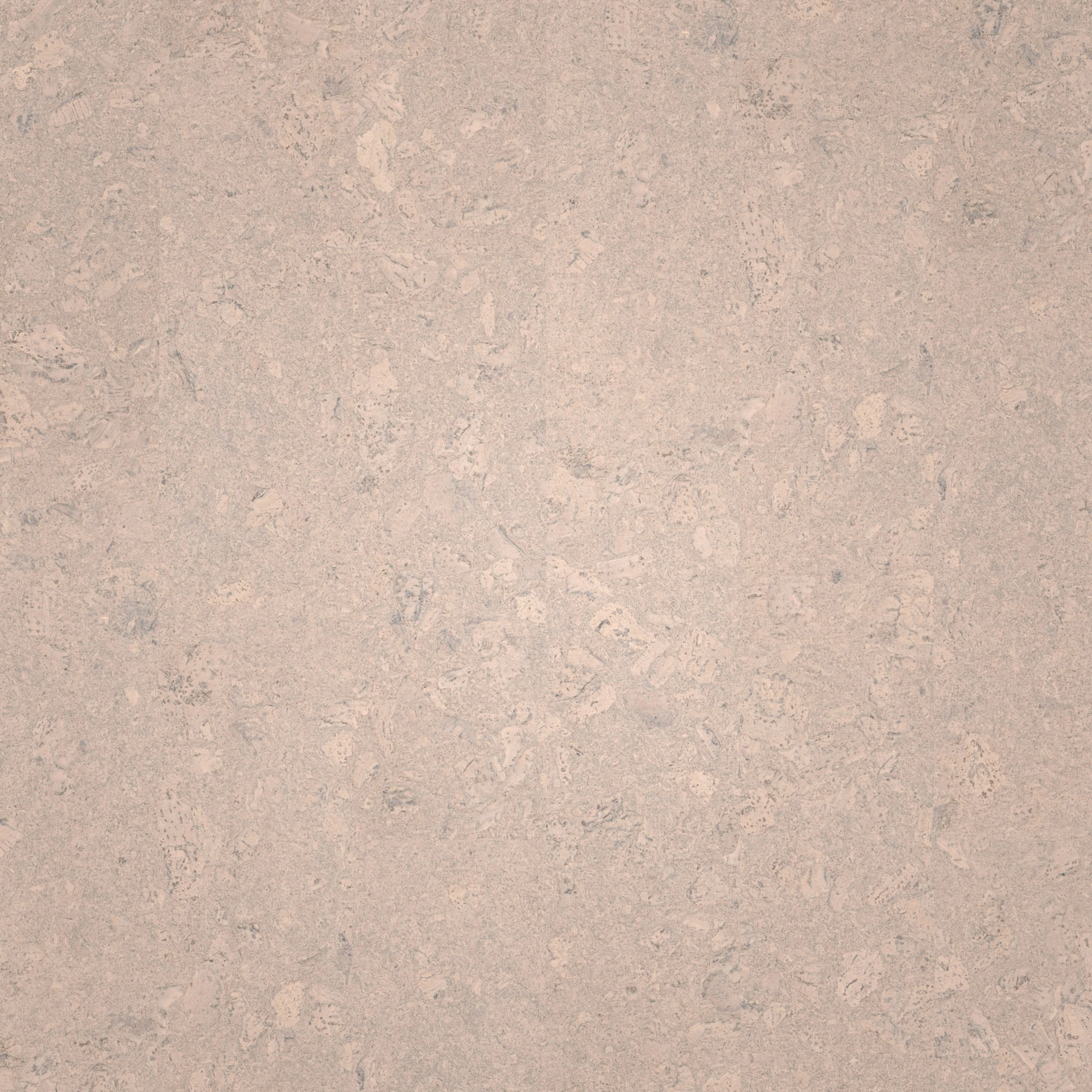 Draufsicht - Wicanders Wise HDF Klick-Korkboden cork Essence Personality Timide Draufsicht - Wicanders Wise 80002262