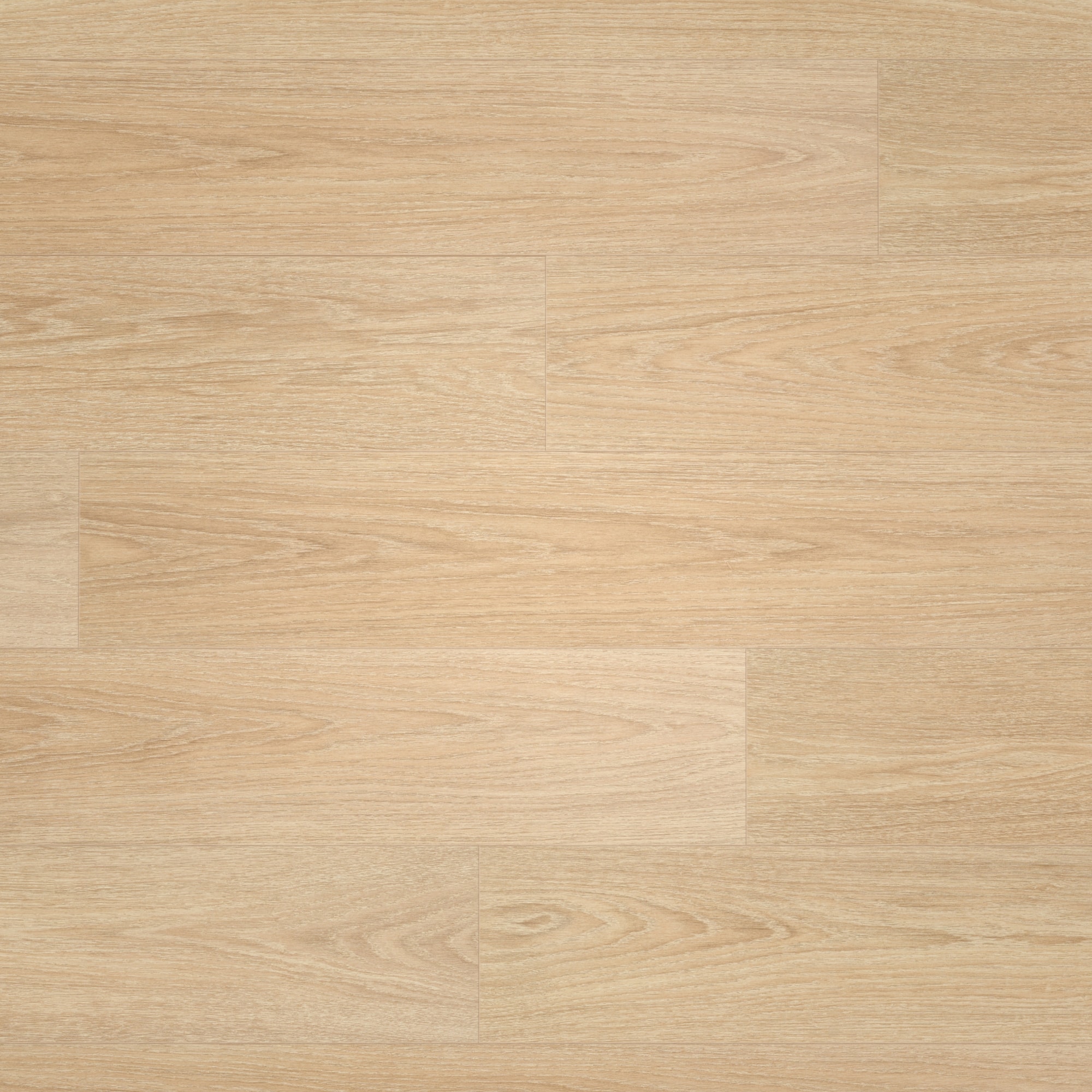 BerryAlloc Laminat Ocean 8 V4 Charme Light Natural Real Wood Structure BerryAlloc Laminat Ocean 8 V4 Charme Light Natural Real Wood Structure
