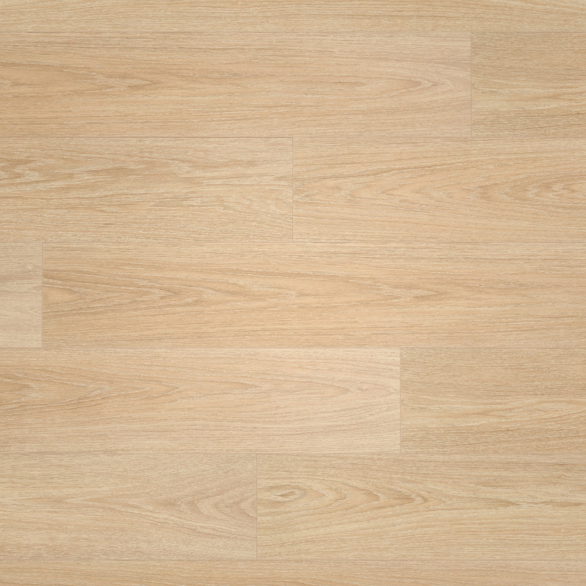 BerryAlloc Laminat Ocean 8 V4 Charme Light Natural Real Wood Structure BerryAlloc Laminat Ocean 8 V4 Charme Light Natural Real Wood Structure