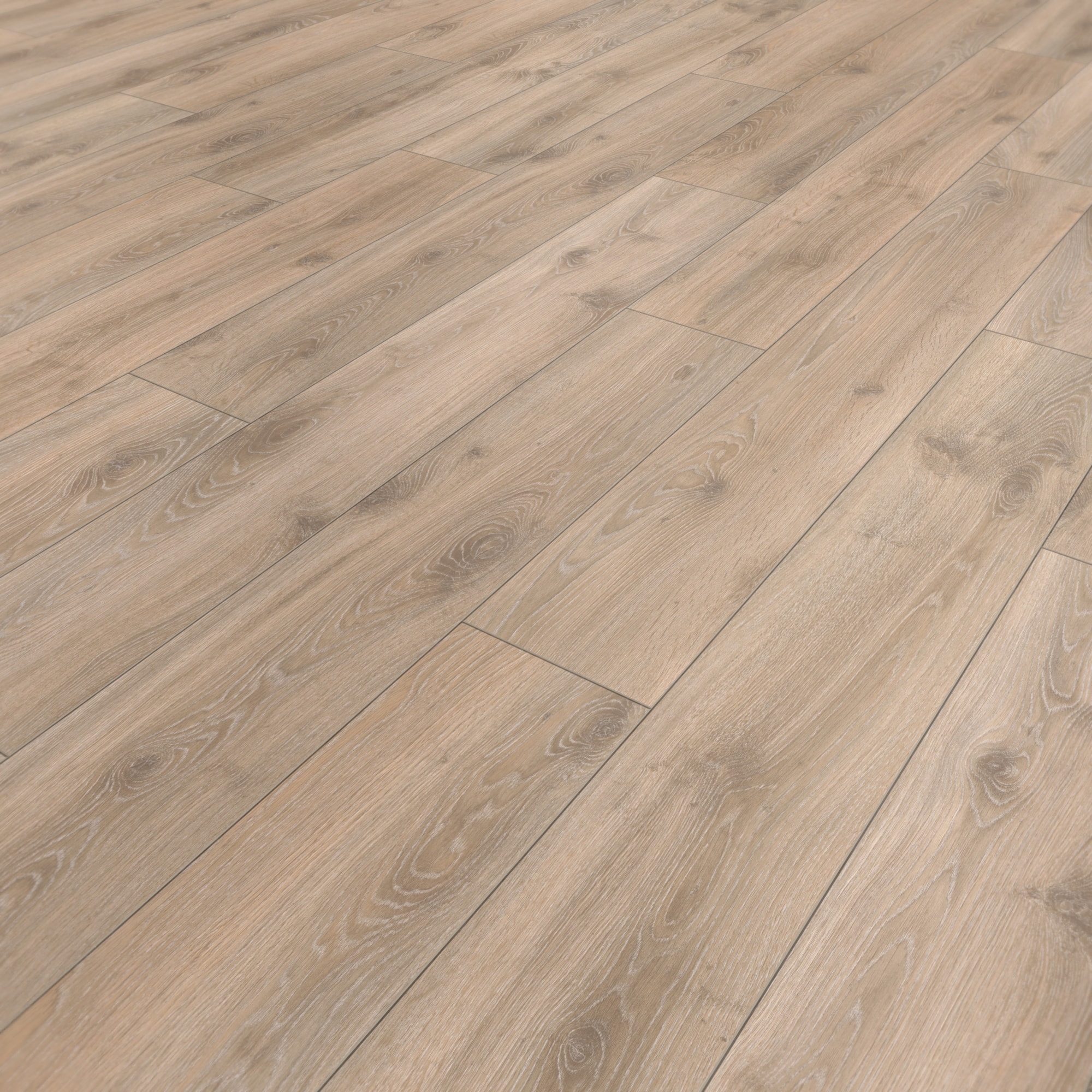 Perspektivische Ansicht - Parador Laminat Classic 1050 Eiche Tradition Grau-beige Perspektivische Ansicht - Parador 1517691