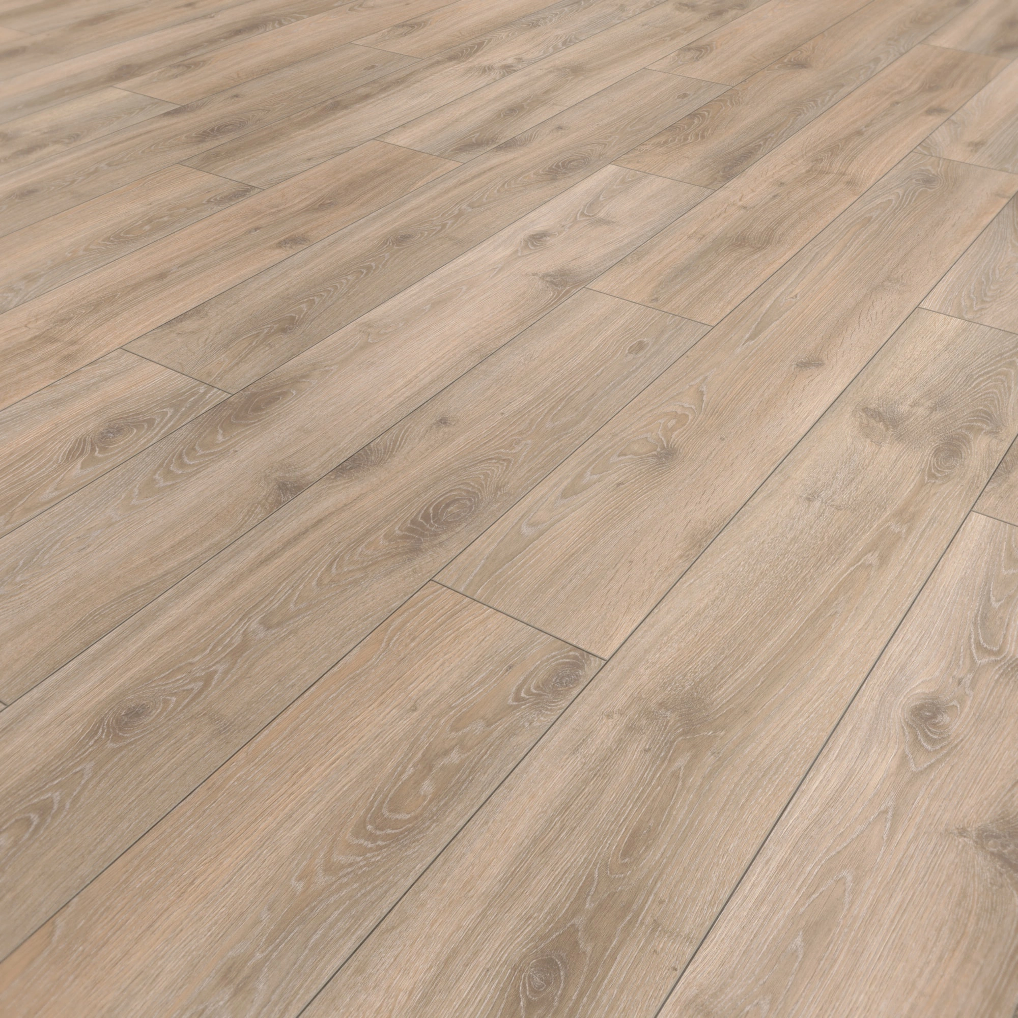 Perspektivische Ansicht - Parador Laminat Classic 1050 Eiche Tradition Grau-beige Perspektivische Ansicht - Parador 1517691
