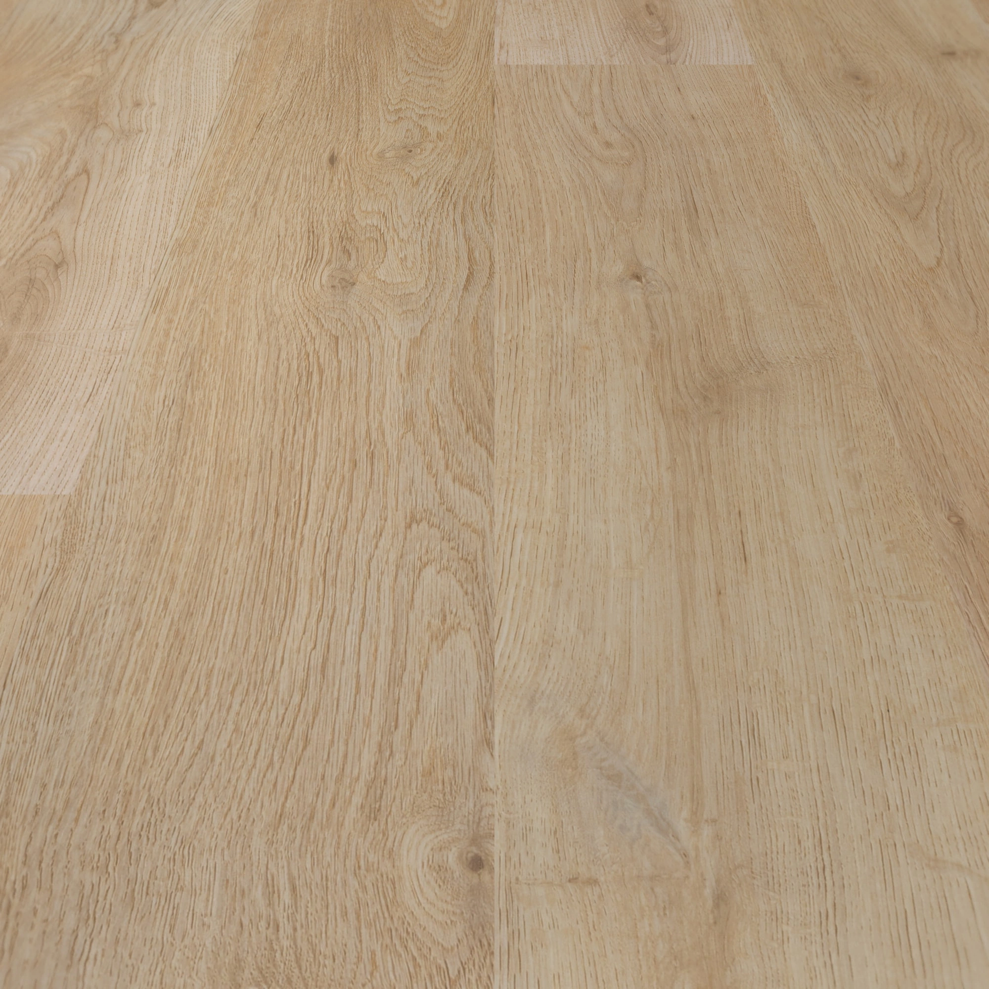 Detail Ansicht - BerryAlloc Klebe-Vinyl Zenn Gluedown 30 Faro Detail Ansicht - BerryAlloc 60002224
