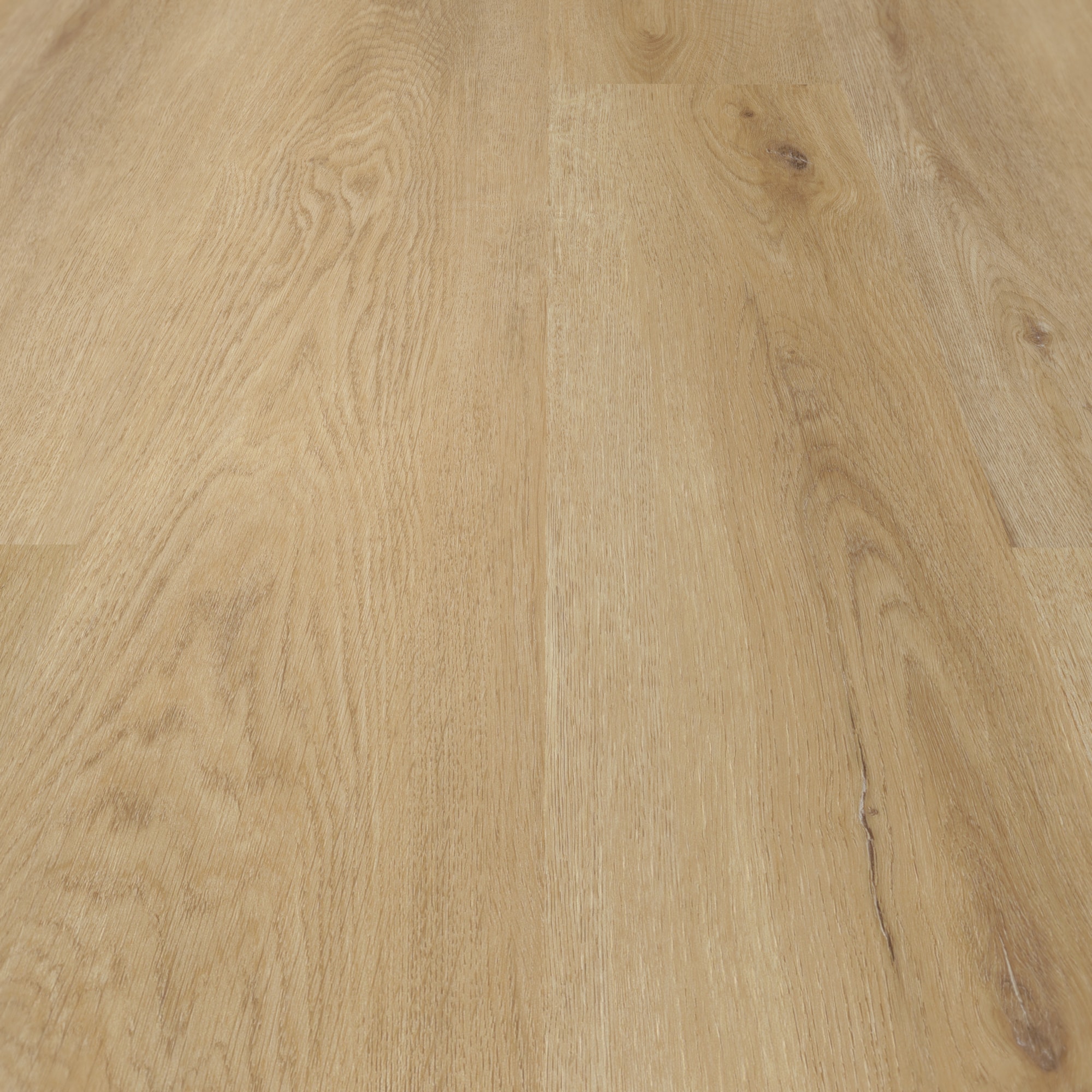 Detail Ansicht - nexflor NXF-80055-004