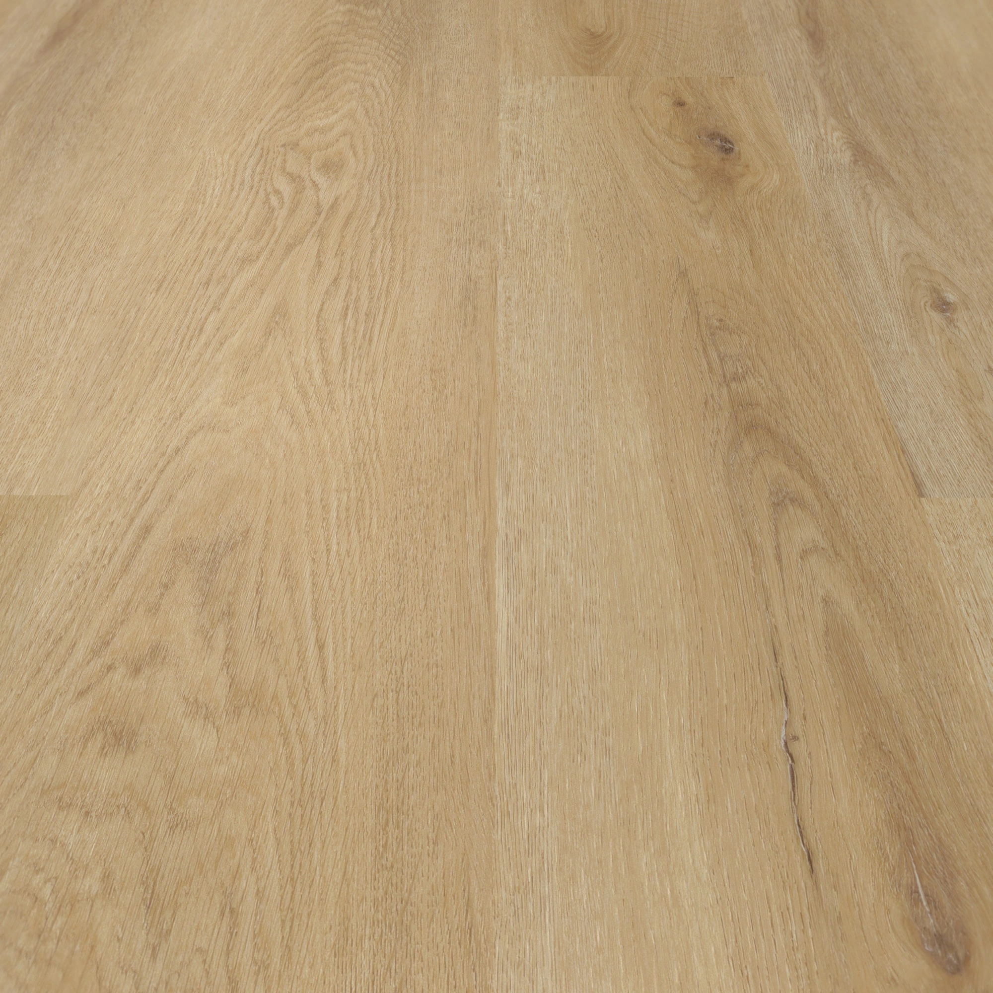 Detail Ansicht - nexflor Rigid Klick-Vinyl Artemis Click Collection Elis Oak Detail Ansicht - nexflor NXF-80055-004