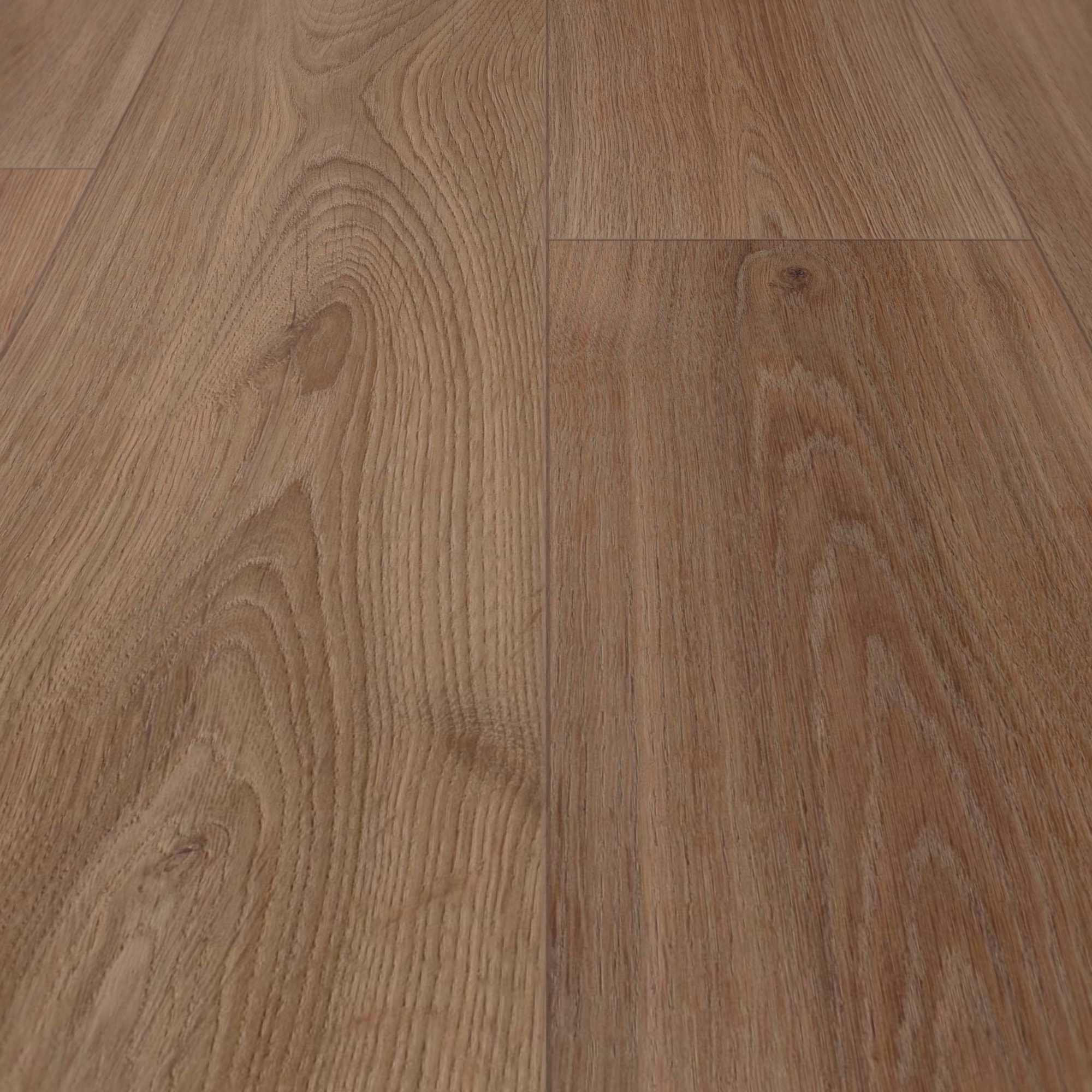 Detail Ansicht - wineo Klick-Bioboden PURLINE wineo 1000 wood XL Noble Oak Chocolate Detail Ansicht - wineo PLC312R