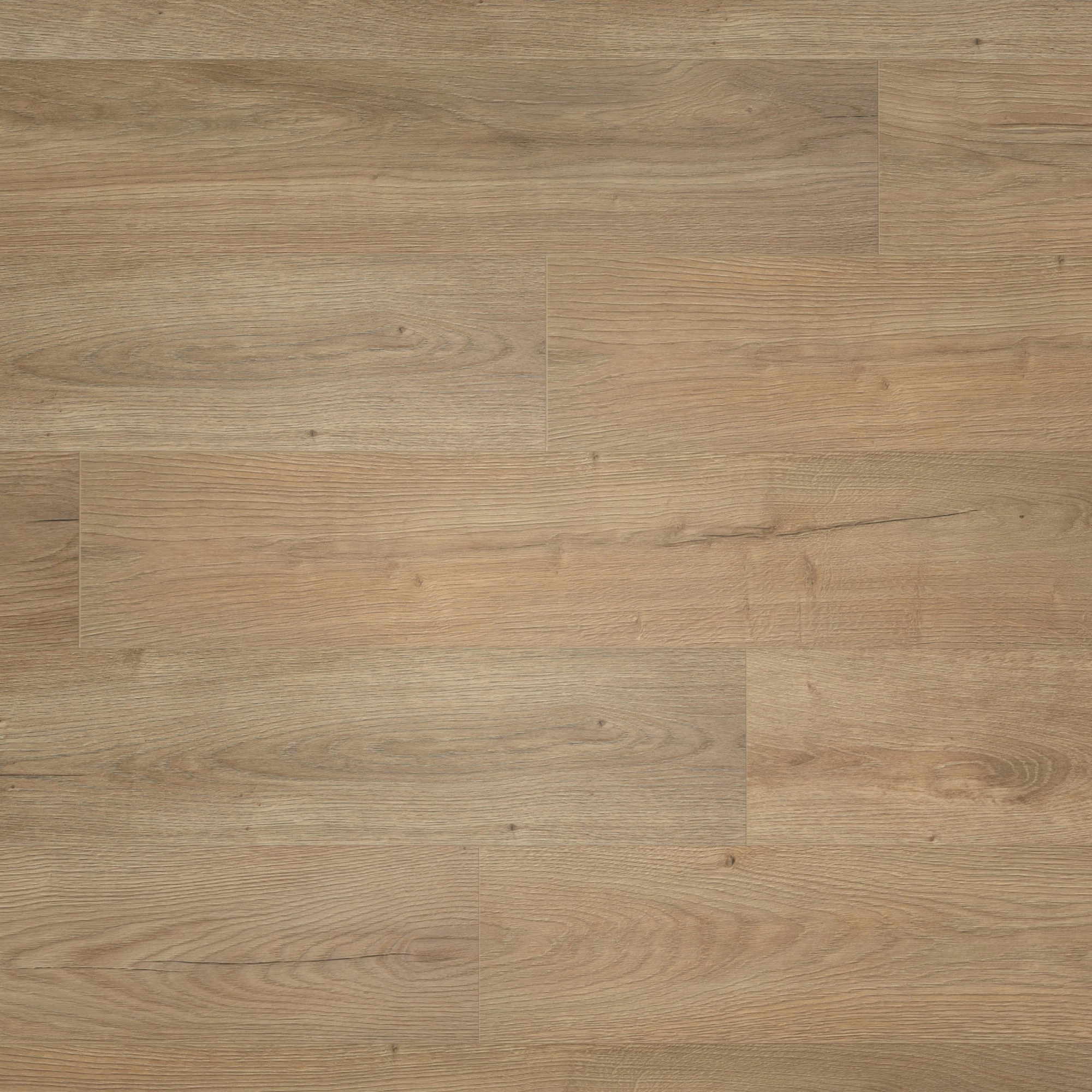 BerryAlloc Laminat Ocean 8 V4 Epic Natural Real Wood Structure BerryAlloc Laminat Ocean 8 V4 Epic Natural Real Wood Structure