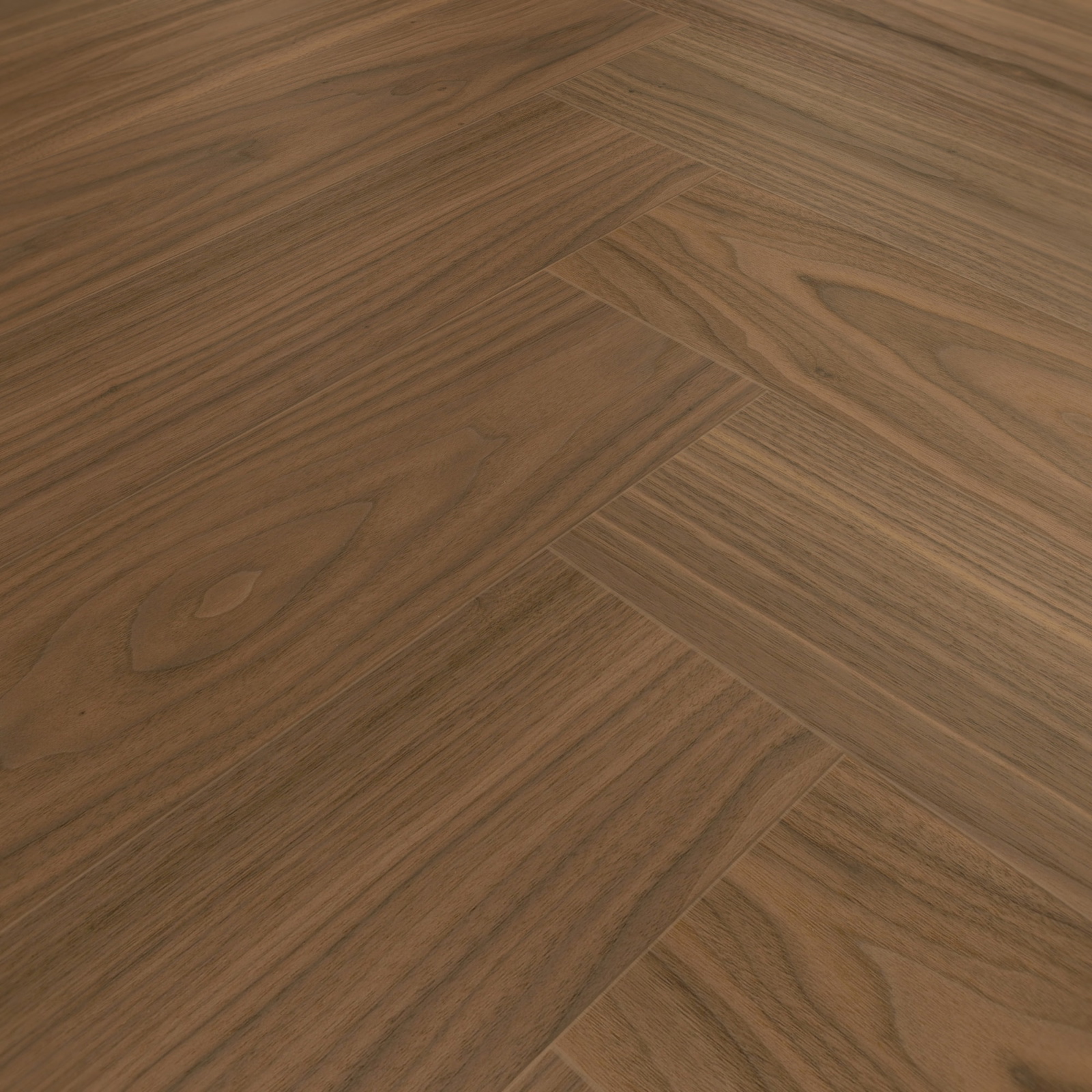 Detail Ansicht - MEISTER 500010-0700140-08924