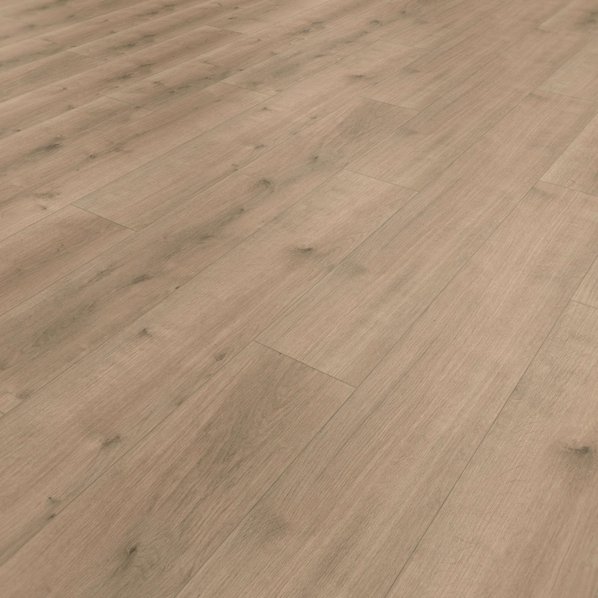 Parador HDF Klick-Designboden Modular ONE Eiche Pure perlgrau Holzstruktur Landhausdiele Parador HDF Klick-Designboden Modular ONE Eiche Pure perlgrau Holzstruktur Landhausdiele