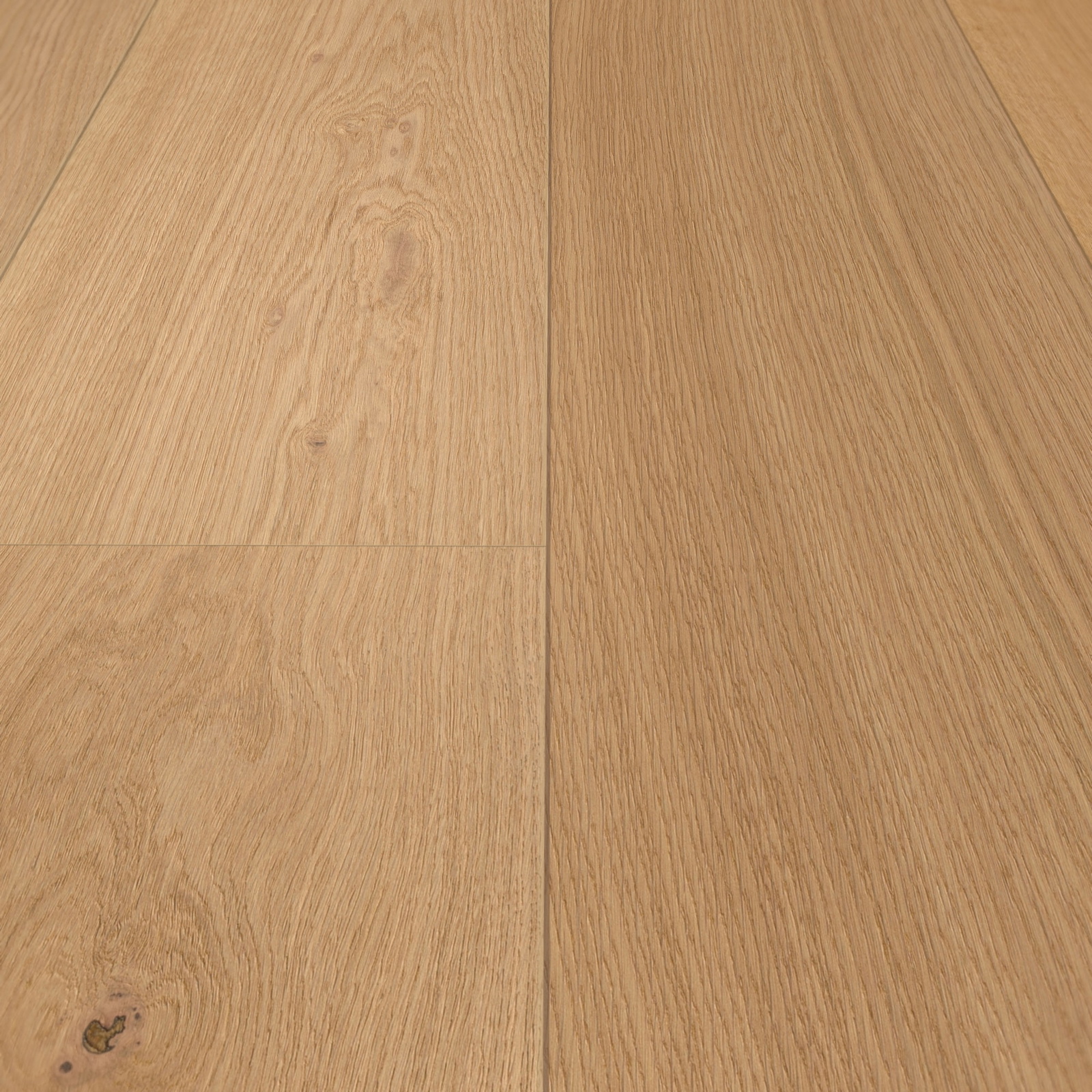 Detail Ansicht - MEISTER 500214-2200270-08914