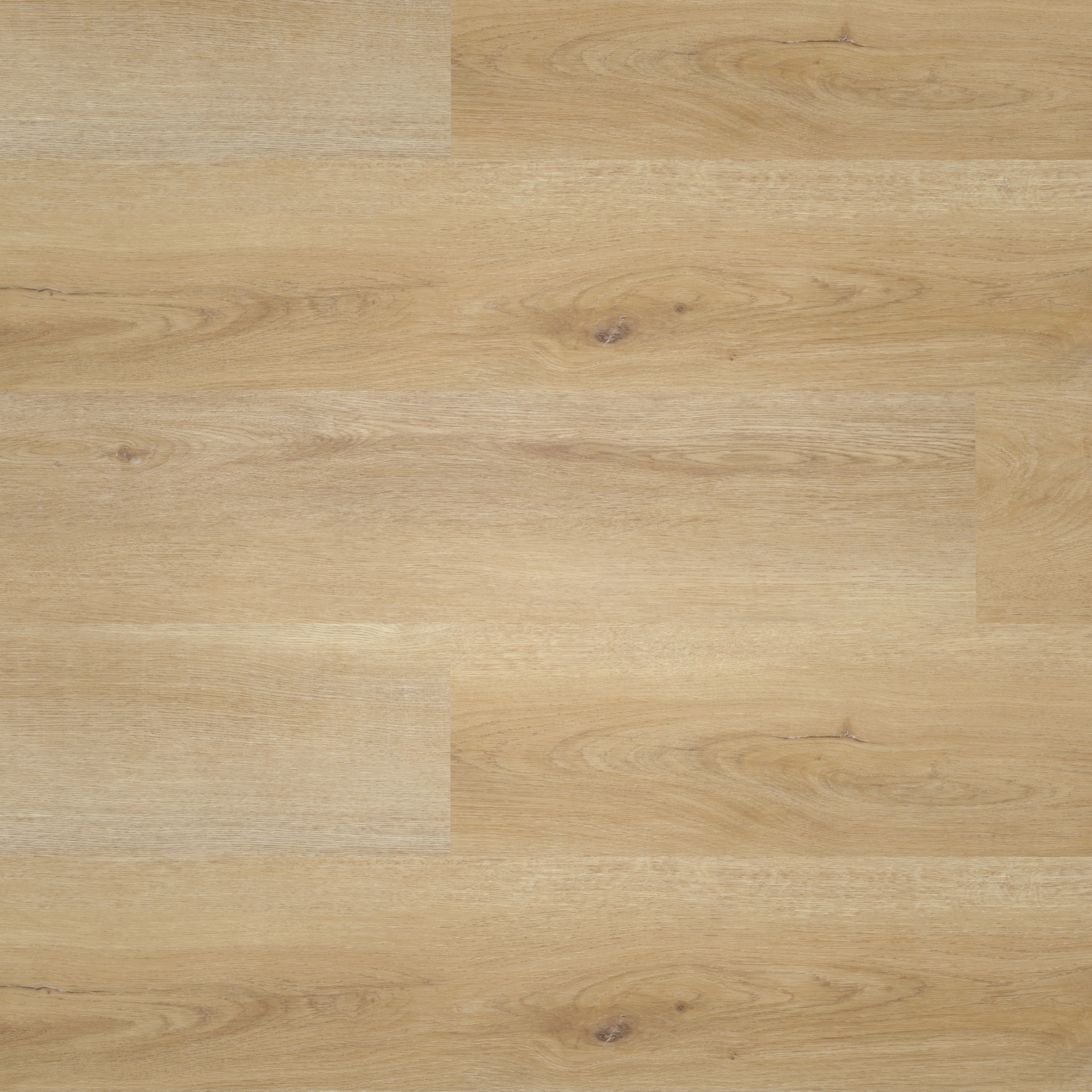 Draufsicht - nexflor Rigid Klick-Vinyl Artemis Click Collection Elis Oak Draufsicht - nexflor NXF-80055-004