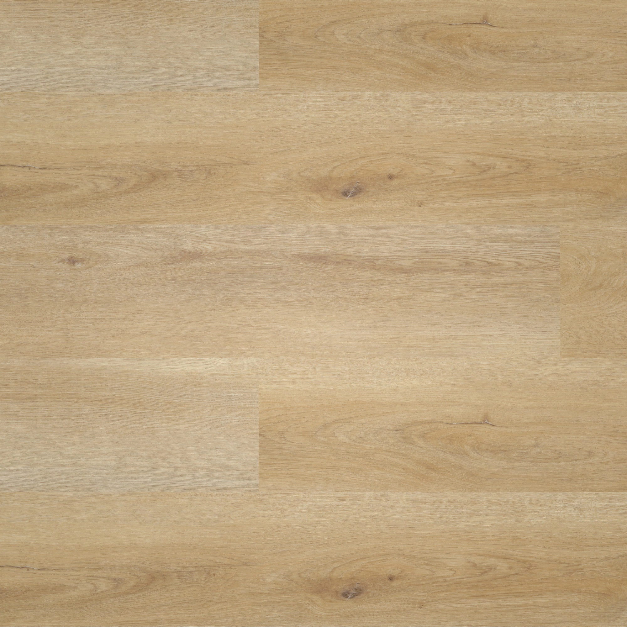 Draufsicht - nexflor Rigid Klick-Vinyl Artemis Click Collection Elis Oak Draufsicht - nexflor NXF-80055-004