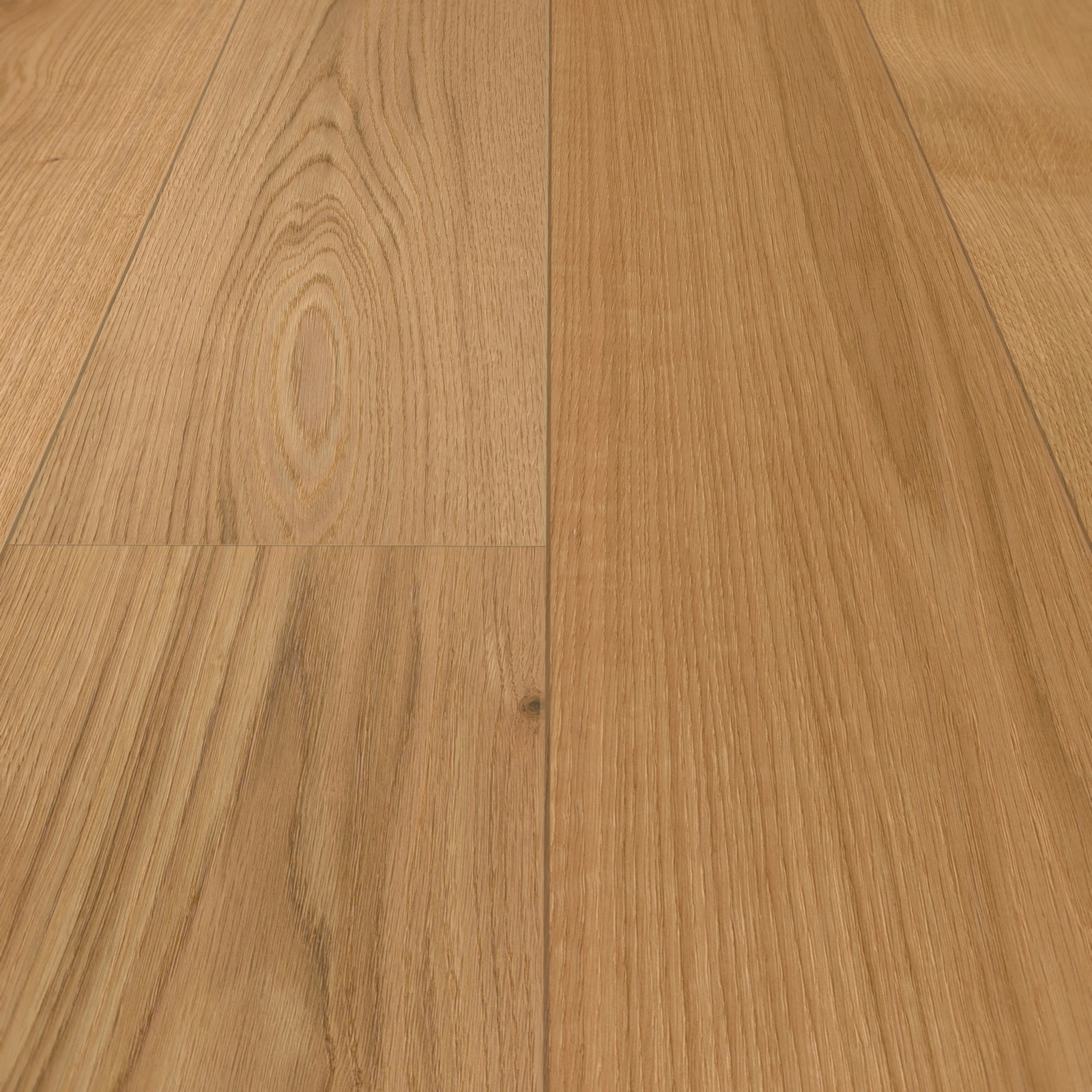 Detail Ansicht - MEISTER 500214-2200205-08915