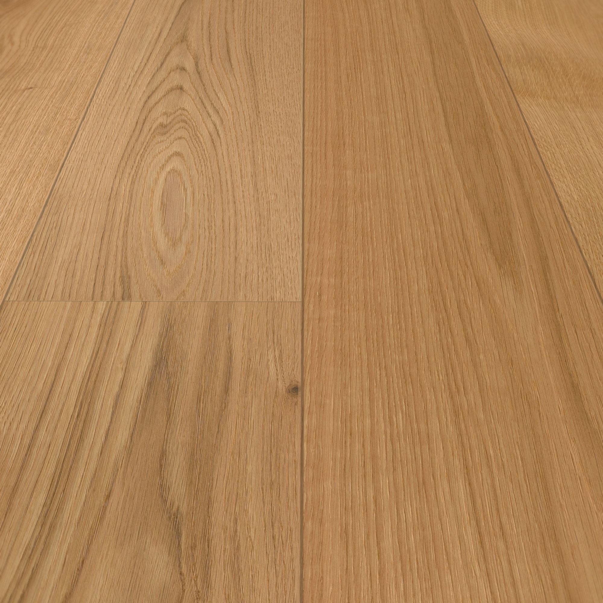 Detail Ansicht - MEISTER 500214-2200205-08915
