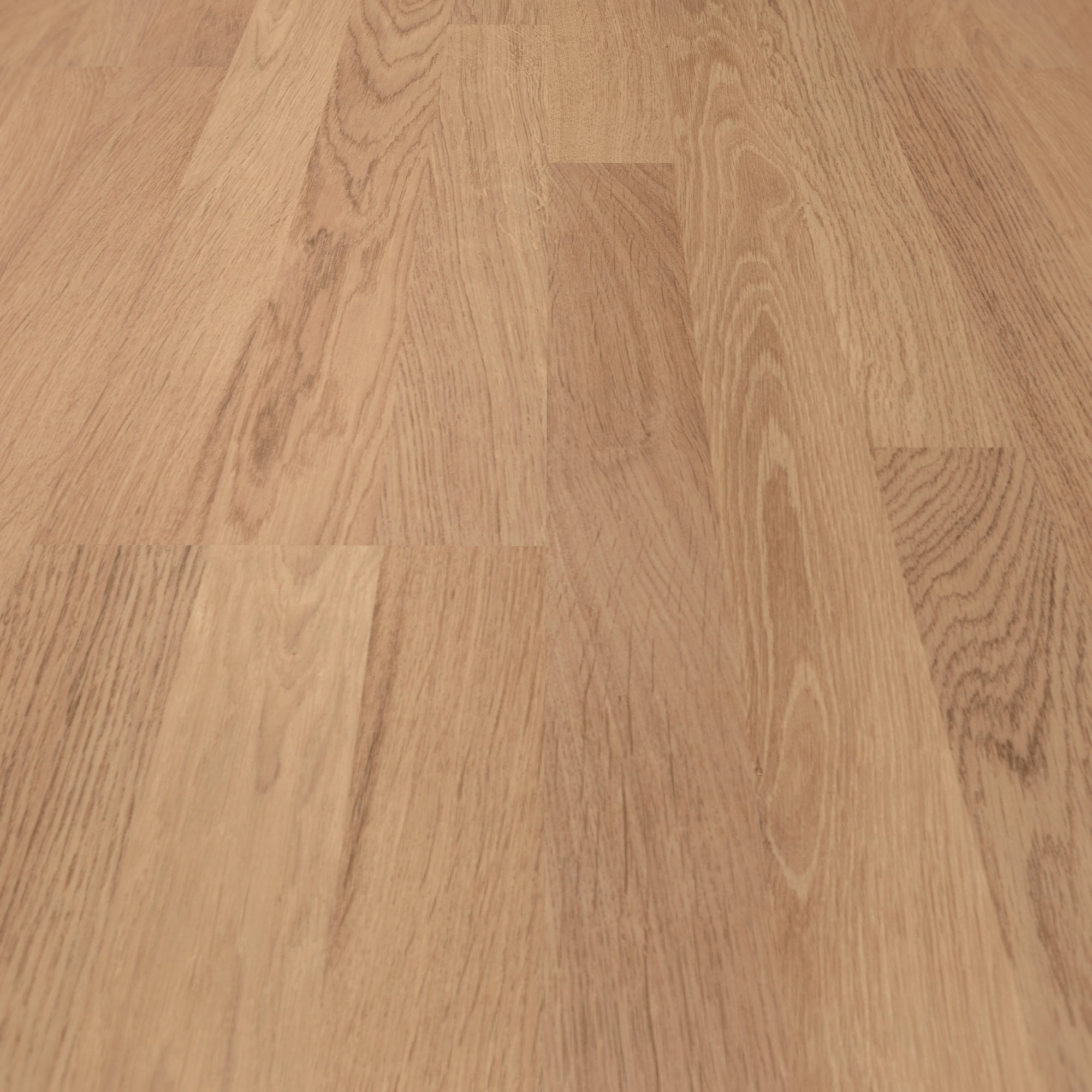 Detail Ansicht - MEISTER Laminat LC 55 S Eiche natur Detail Ansicht - MEISTER 600013-1288198-06067