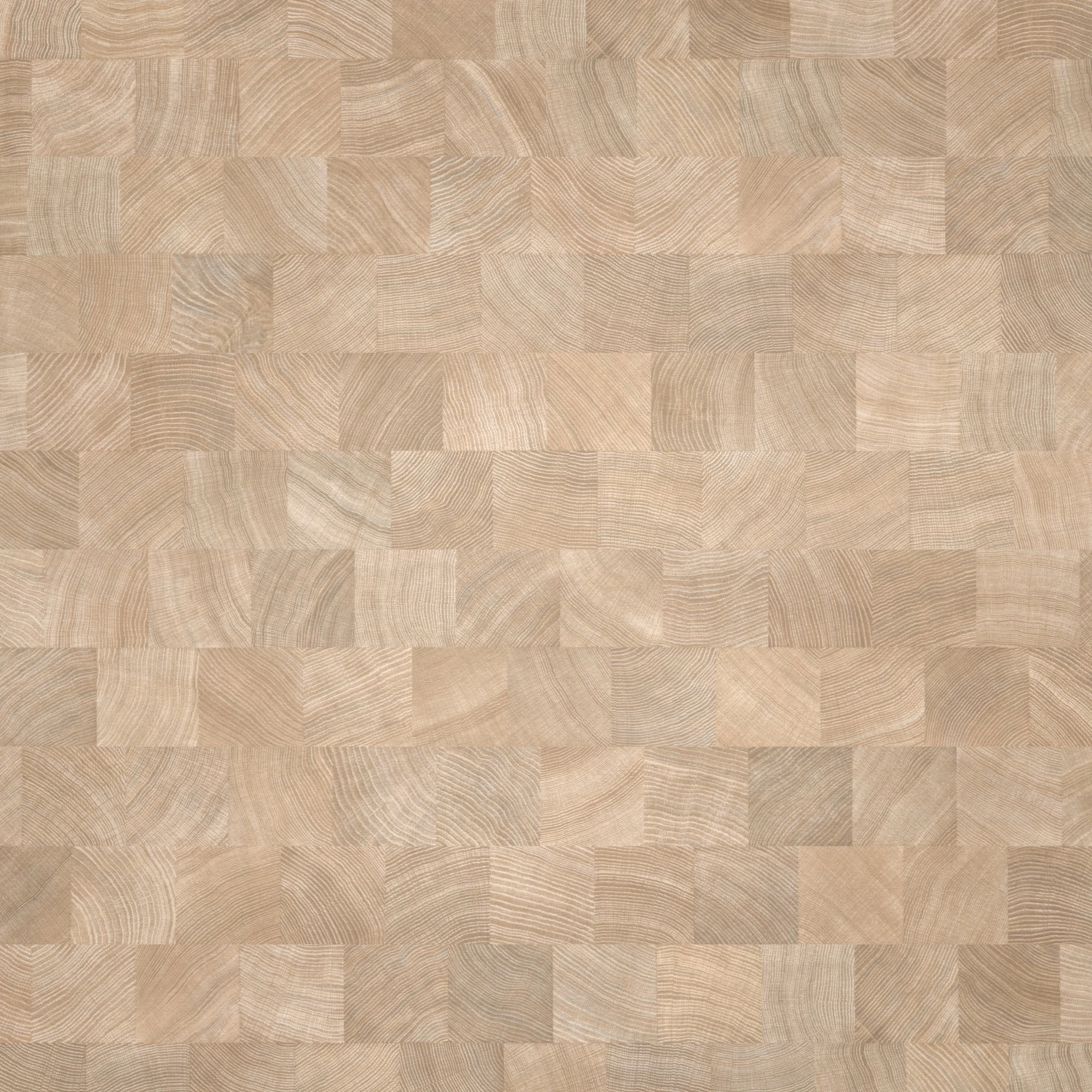 Parador Laminat Basic 400 Eiche Hirnholz gekälkt Seidenmatte Struktur 0V Parador Laminat Basic 400 Eiche Hirnholz gekälkt Seidenmatte Struktur 0V