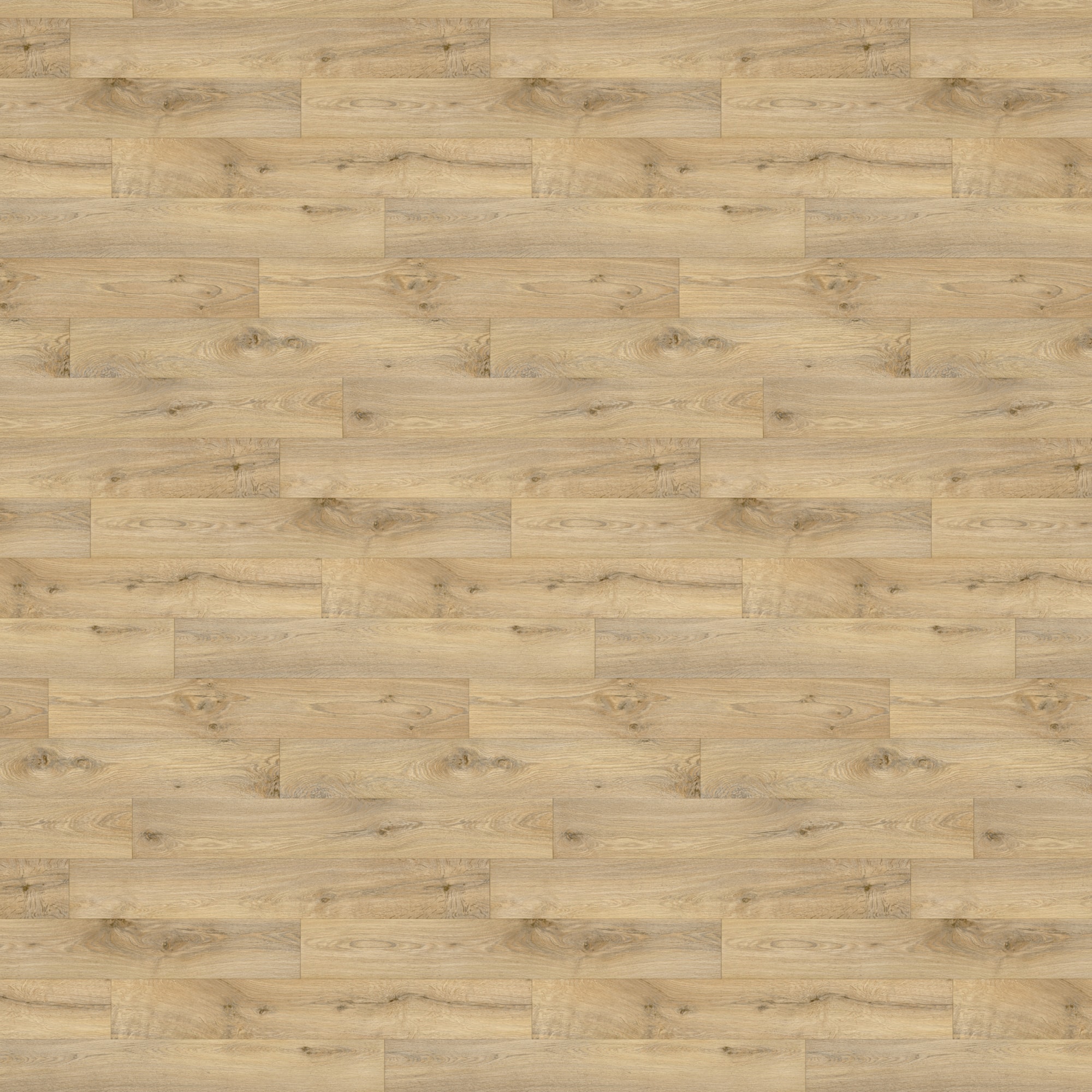 Draufsicht - Beauflor undefined Prima Novo Vero 346M Draufsicht - Beauflor 50060931
